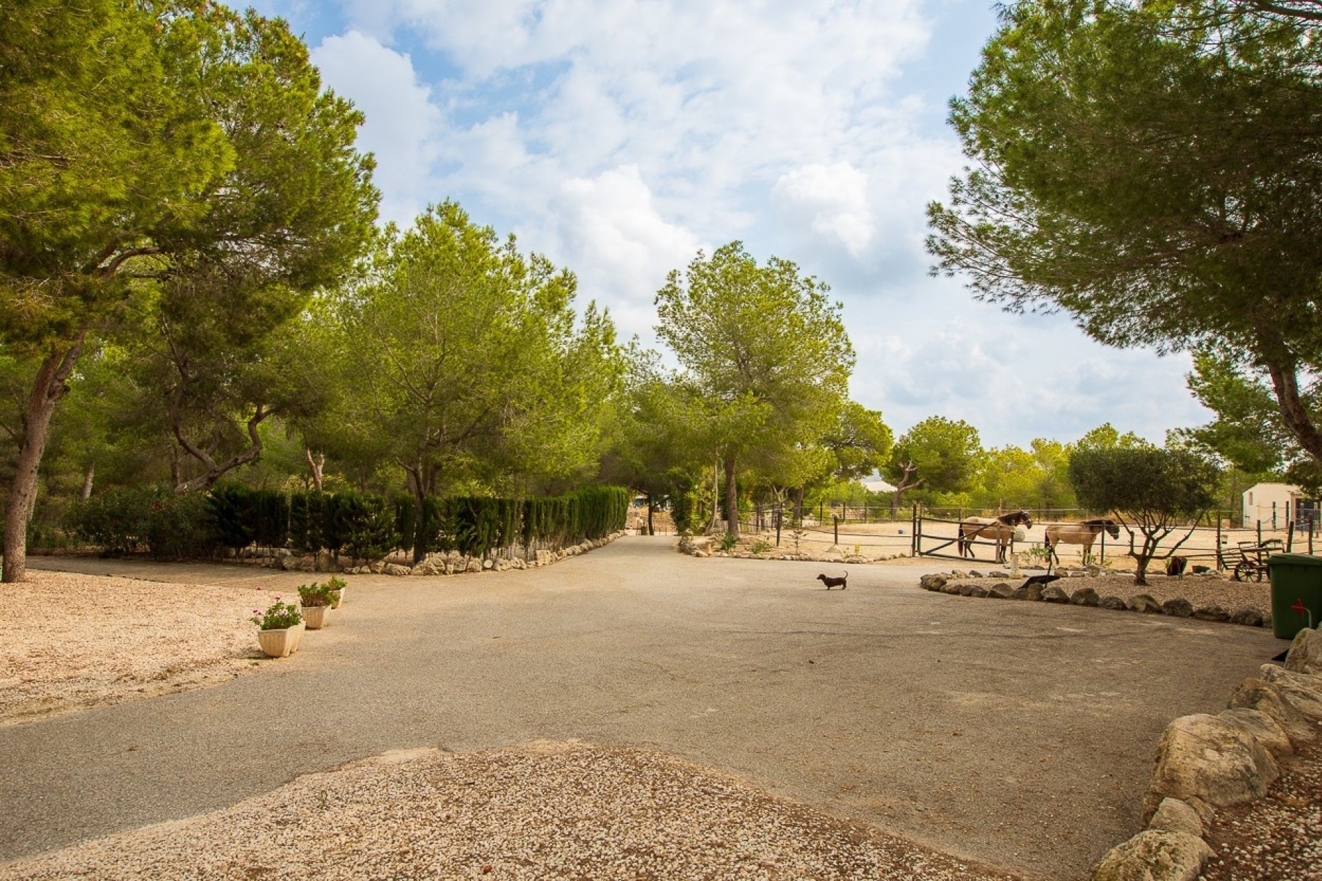 Resale - Finca - Country Property -
Torremendo