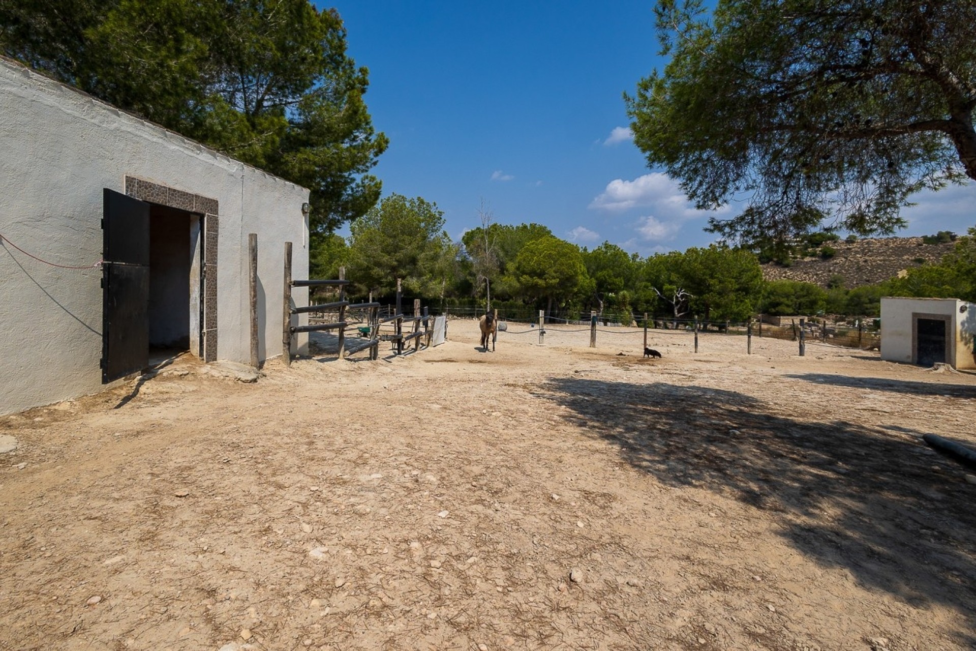 Resale - Finca - Country Property -
Torremendo
