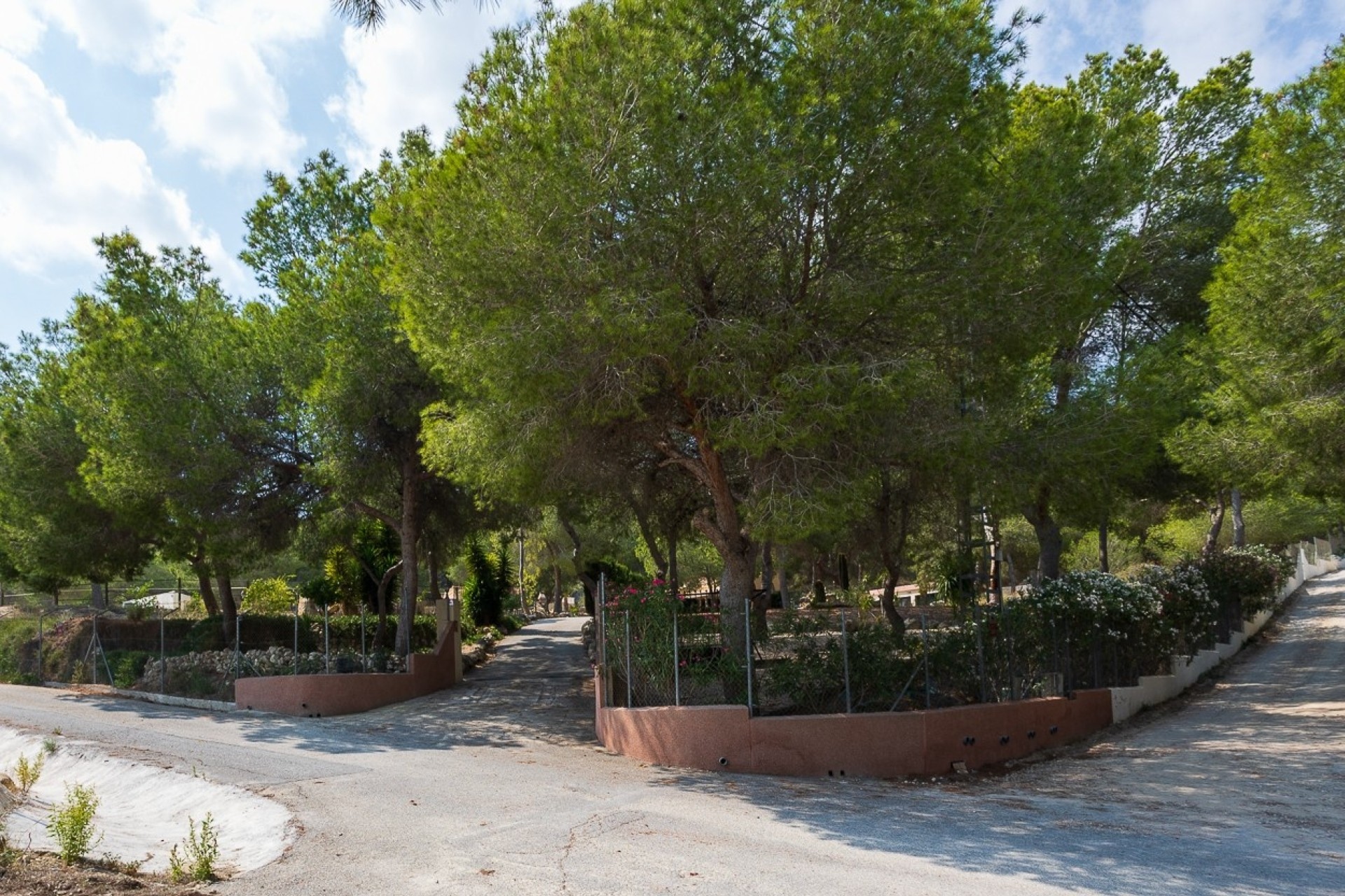 Resale - Finca - Country Property -
Torremendo