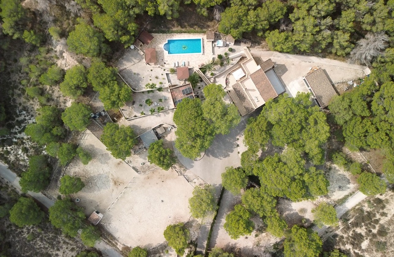Resale - Finca - Country Property -
Torremendo