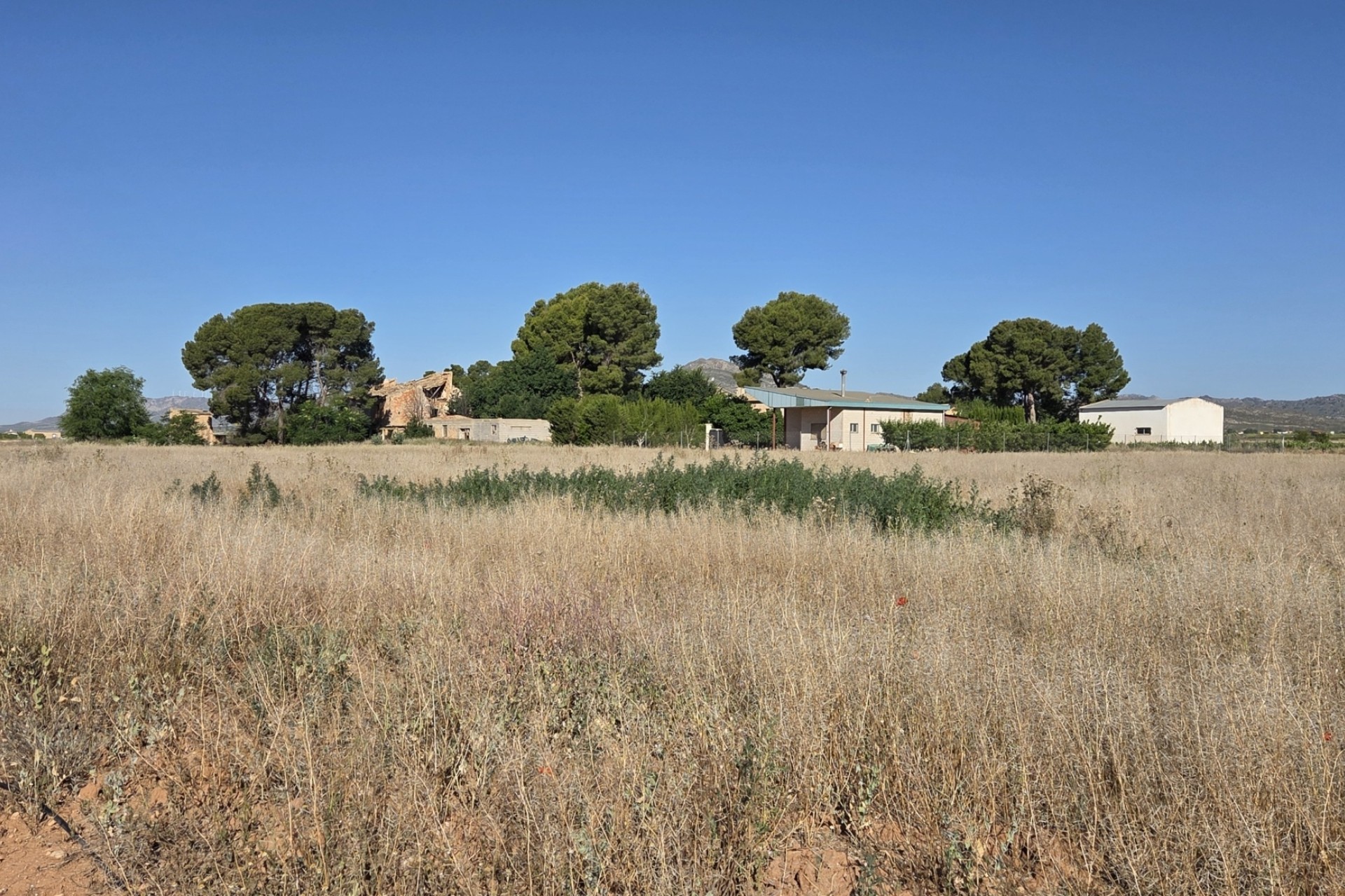 Resale - Finca - Country Property -
Yecla