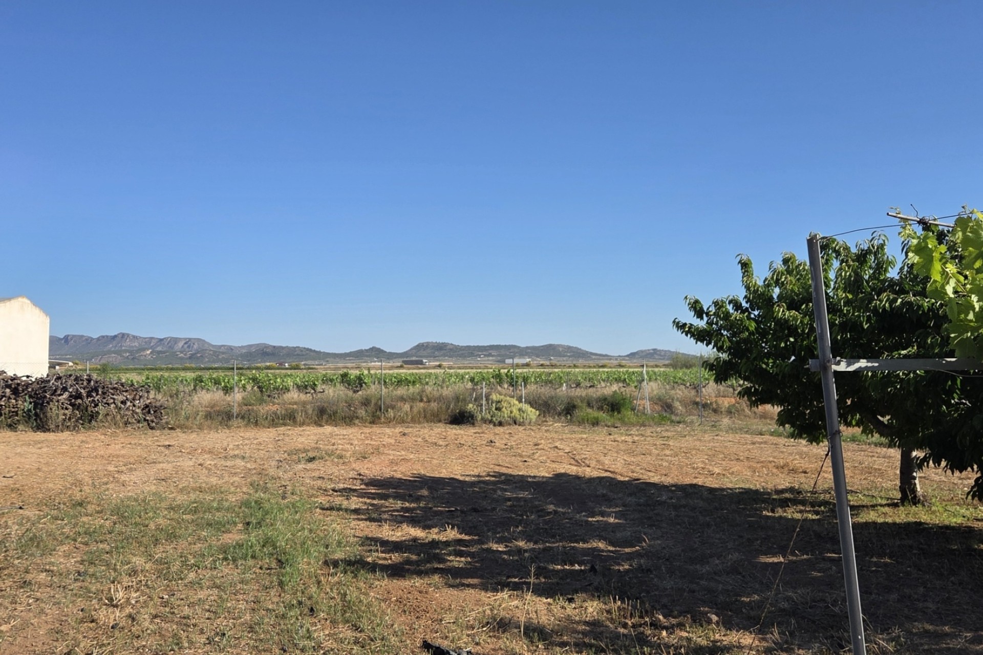 Resale - Finca - Country Property -
Yecla
