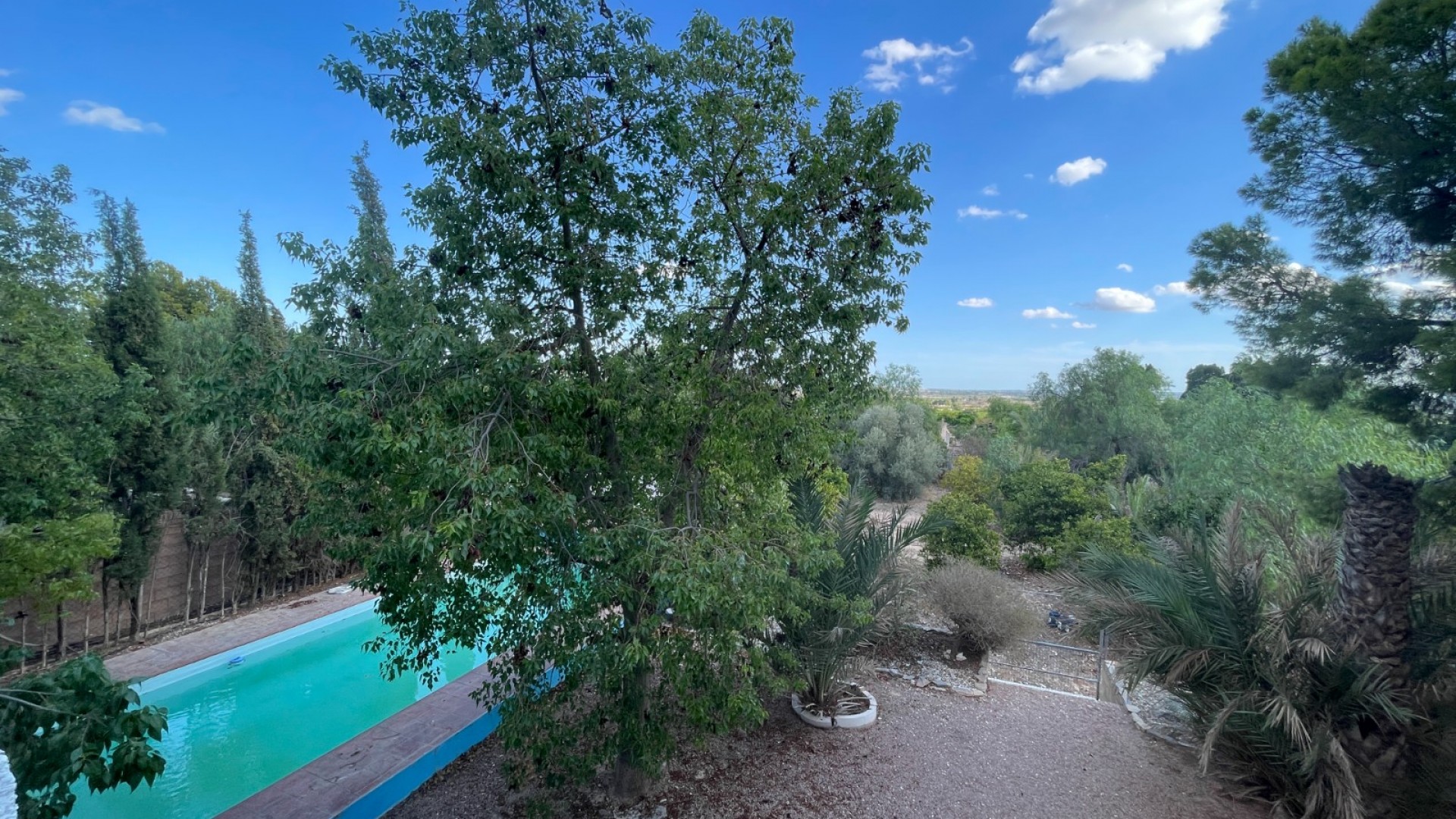 Resale - Finca Landgut -
Albatera