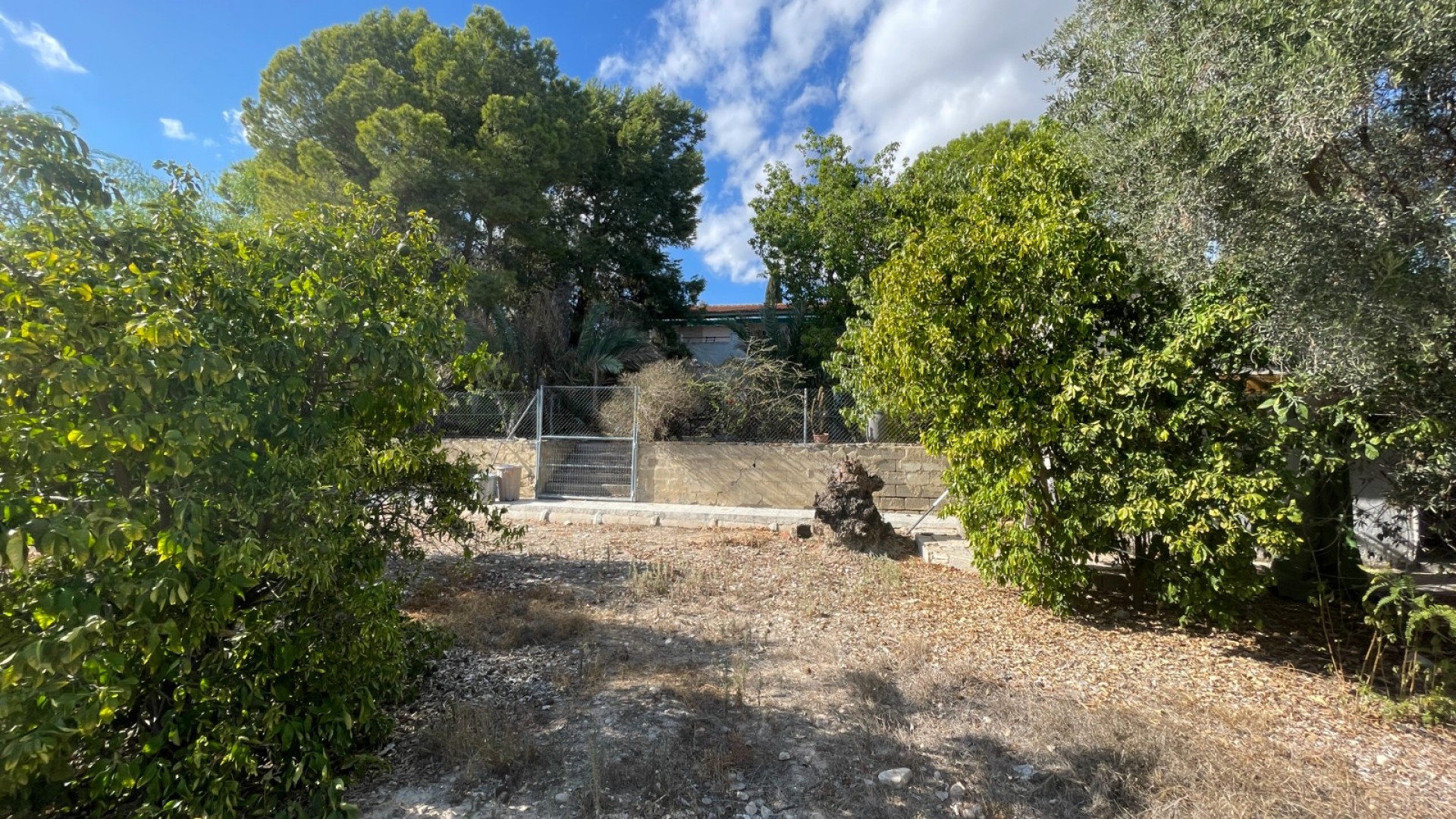 Resale - Finca Landgut -
Albatera