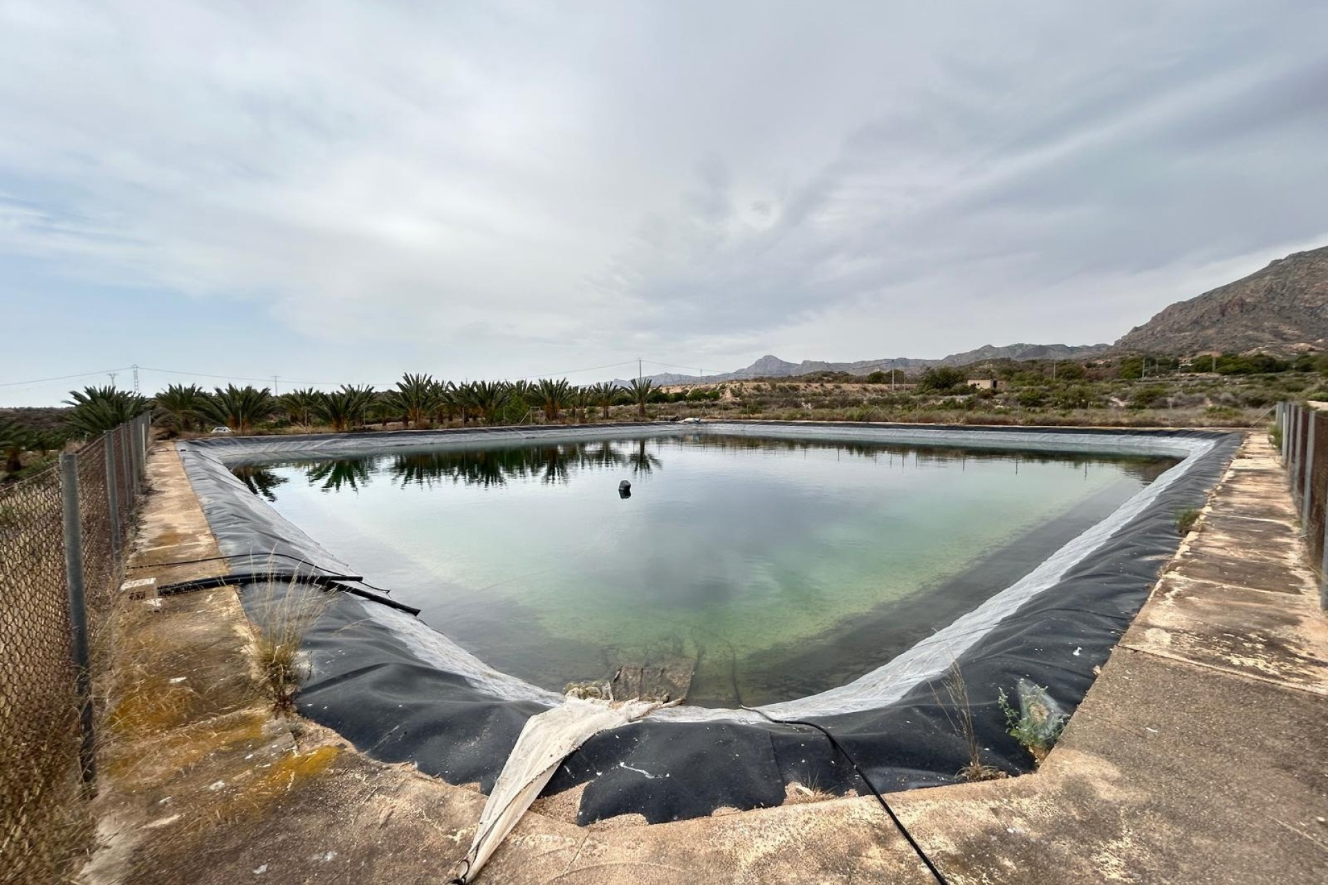 Resale - Finca Landgut -
Albatera