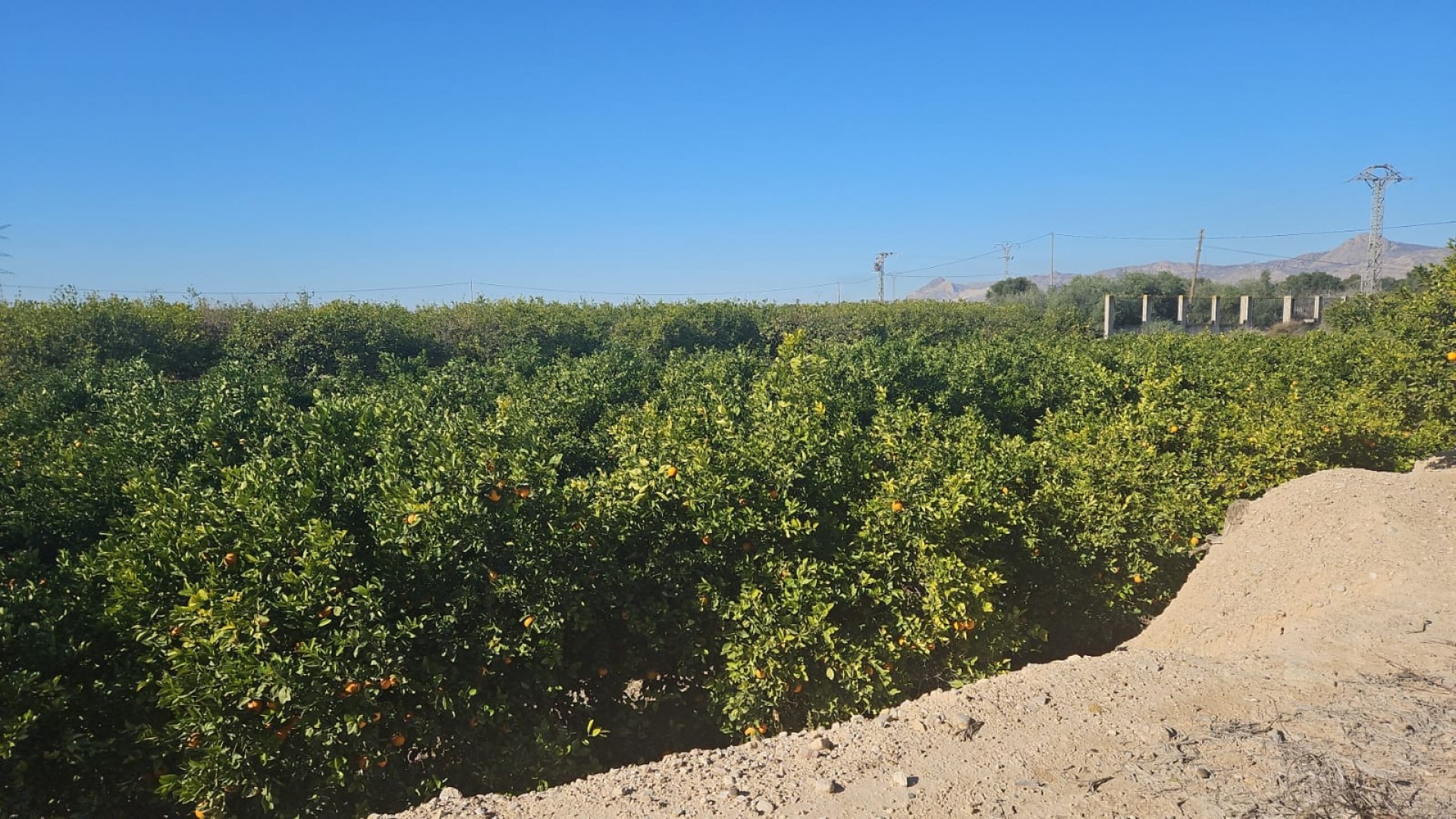 Resale - Finca Landgut -
Albatera