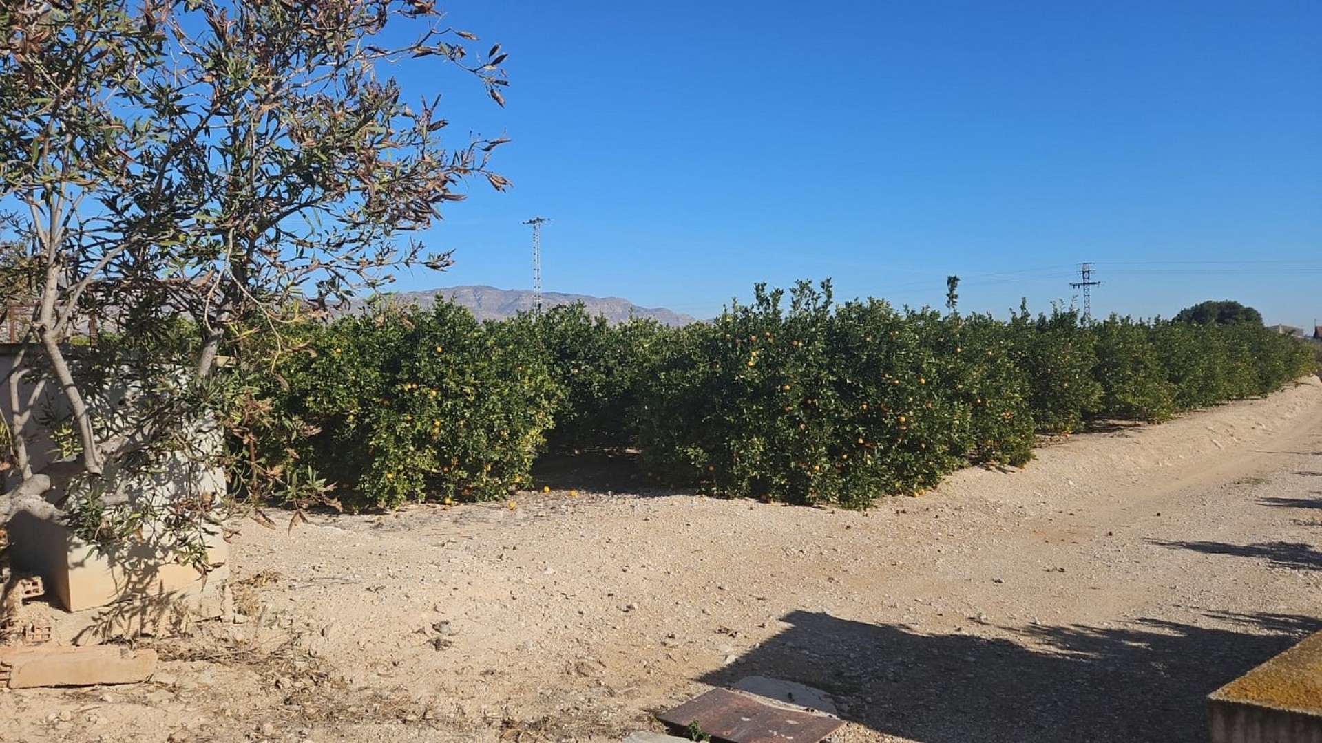 Resale - Finca Landgut -
Albatera