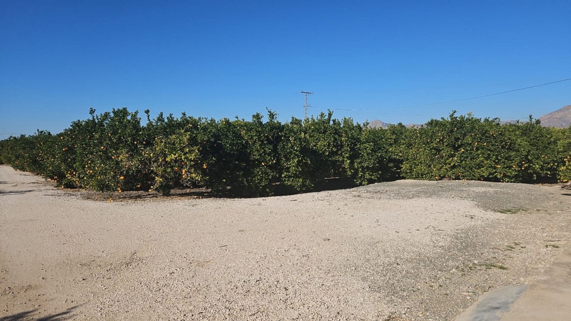 Resale - Finca Landgut -
Albatera