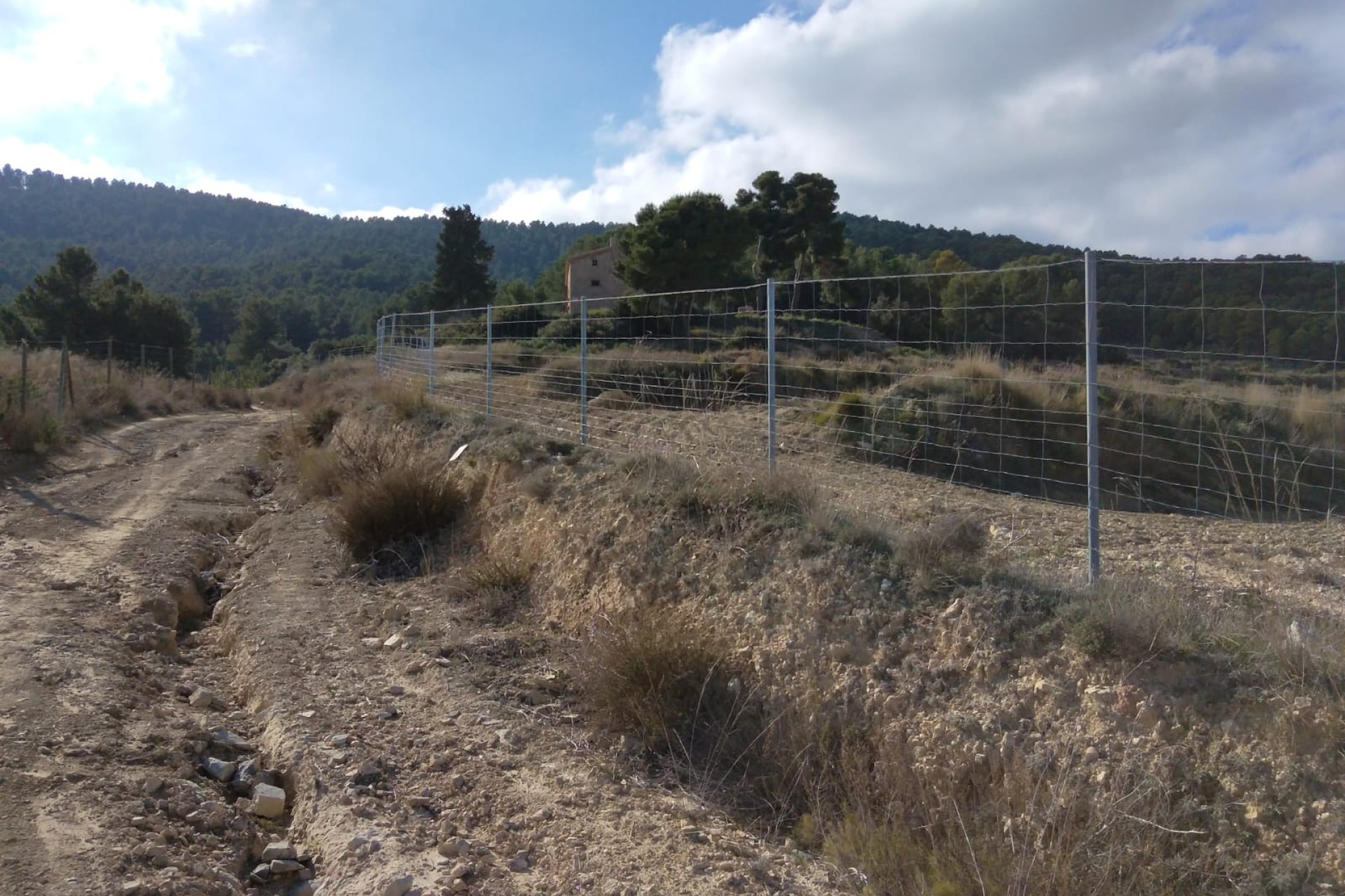 Resale - Finca Landgut -
Bullas