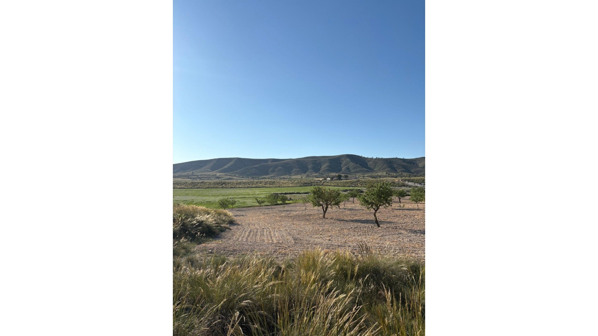 Resale - Finca Landgut -
Cañada del Trigo - Canada del Trigo Murcia