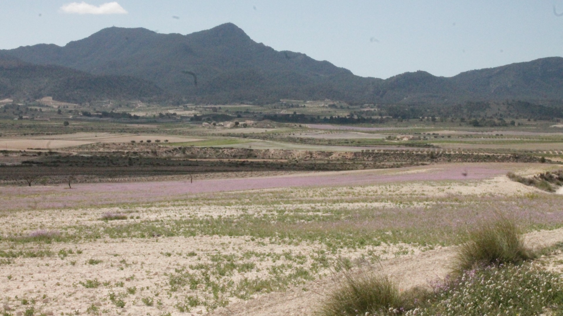 Resale - Finca Landgut -
Cañada del Trigo - Canada del Trigo Murcia