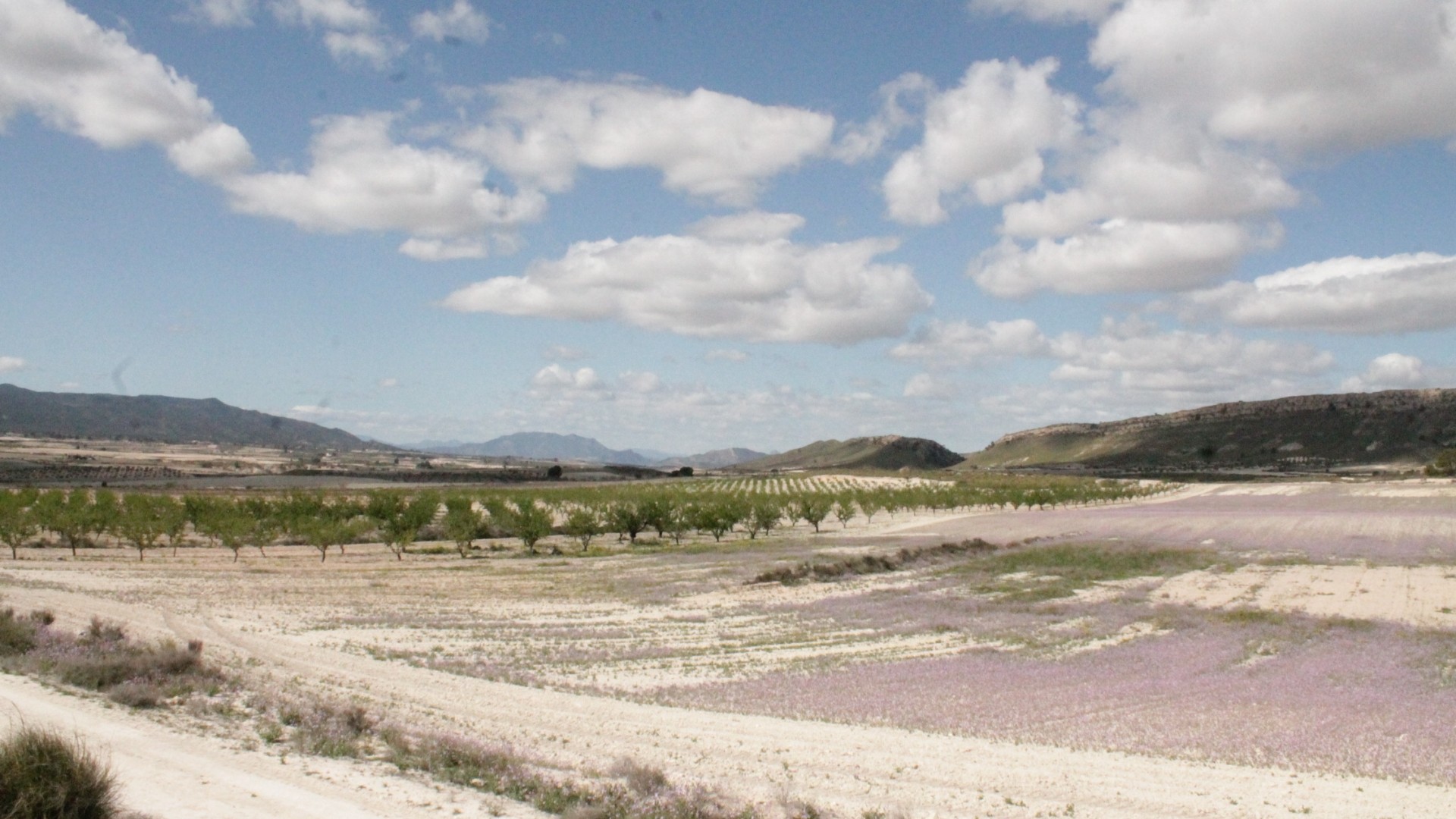 Resale - Finca Landgut -
Cañada del Trigo - Canada del Trigo Murcia