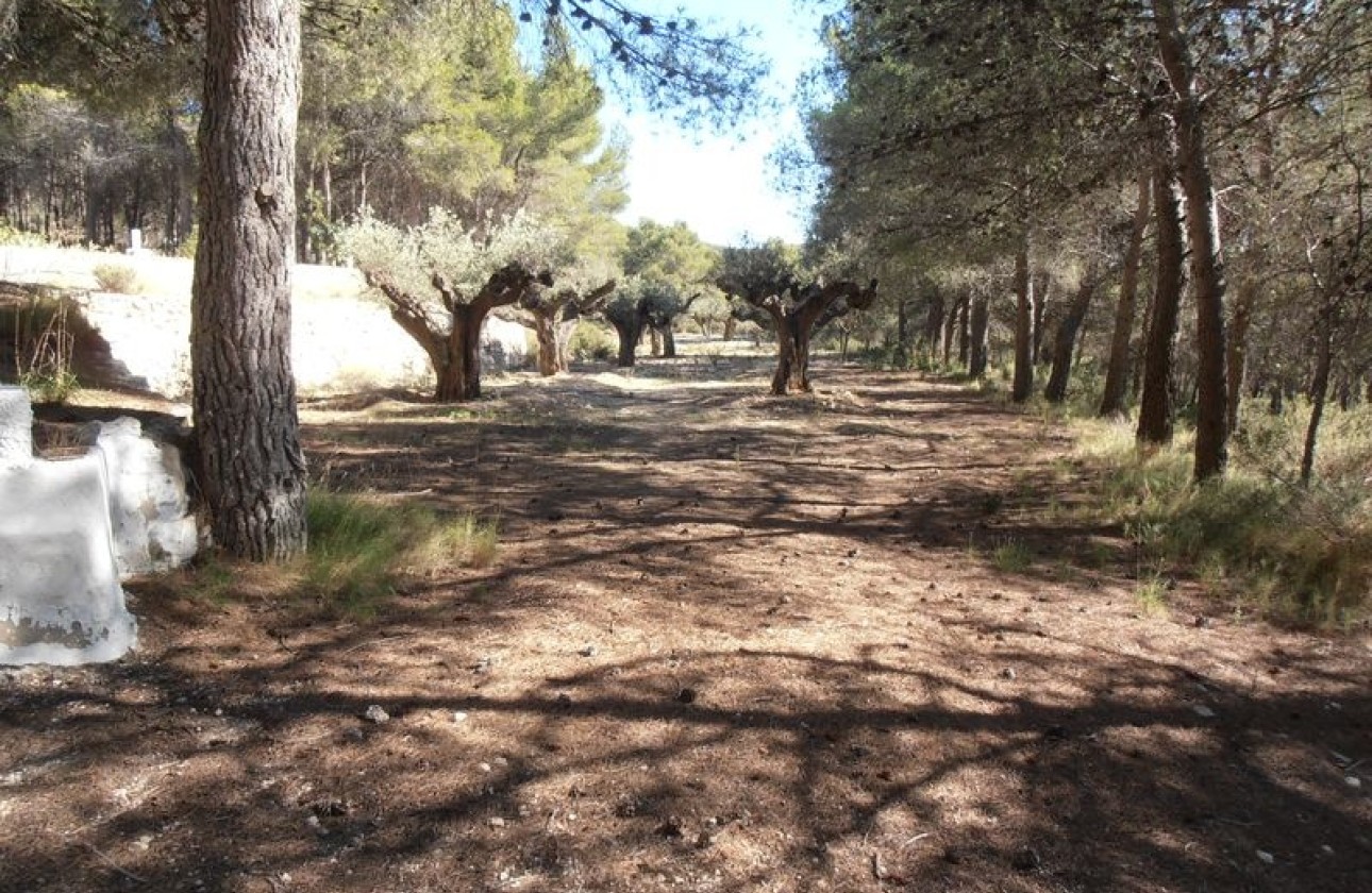 Resale - Finca Landgut -
Castalla