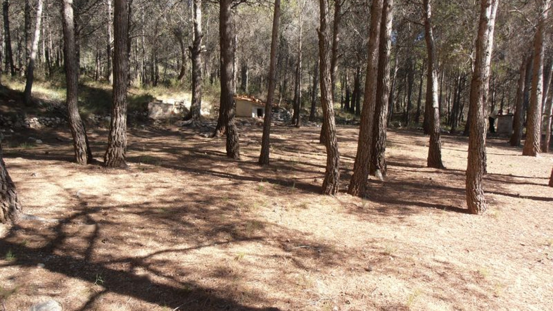 Resale - Finca Landgut -
Castalla