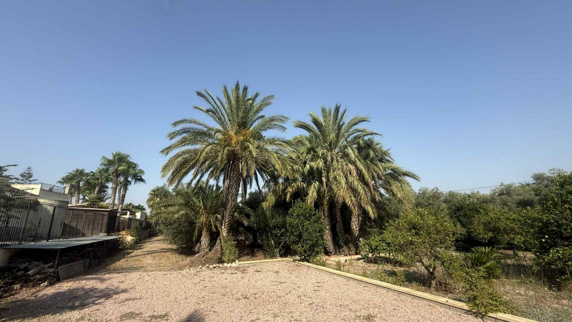 Resale - Finca Landgut -
Catral