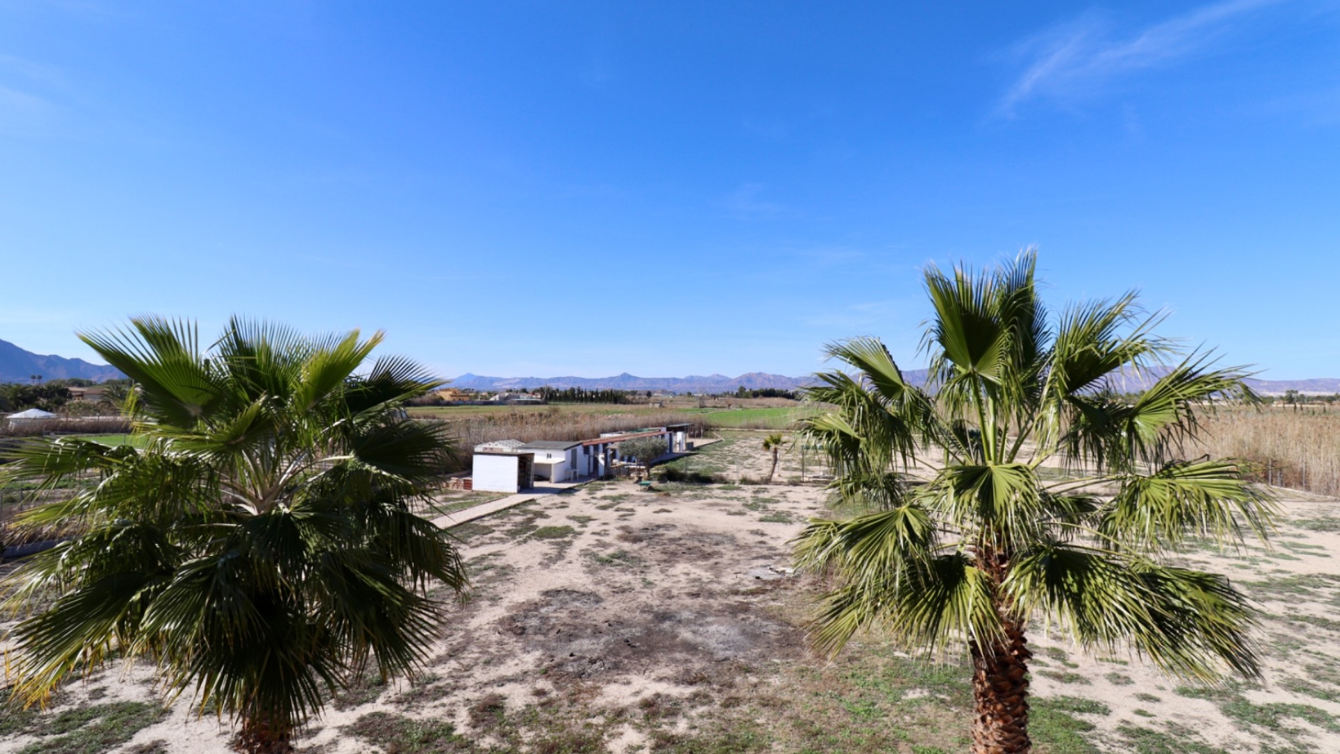 Resale - Finca Landgut -
Catral