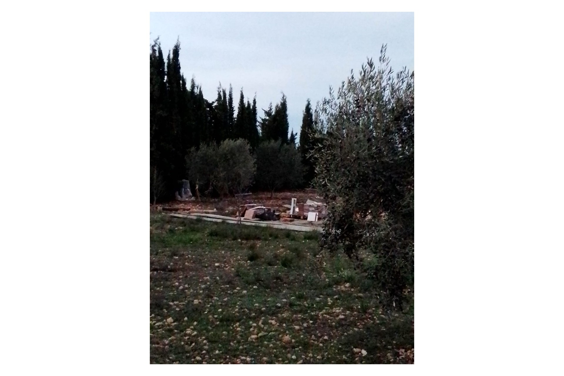 Resale - Finca Landgut -
Caudete