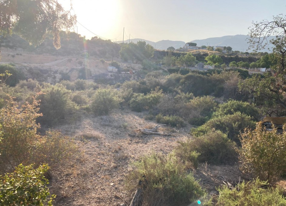 Resale - Finca Landgut -
Crevillente