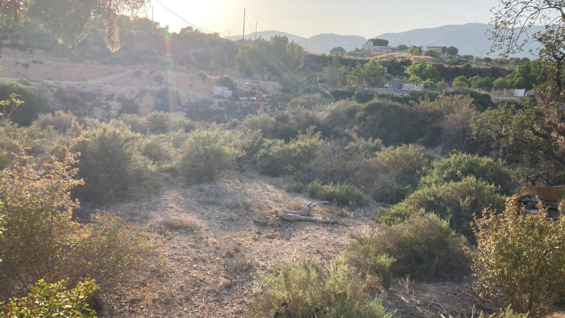 Resale - Finca Landgut -
Crevillente