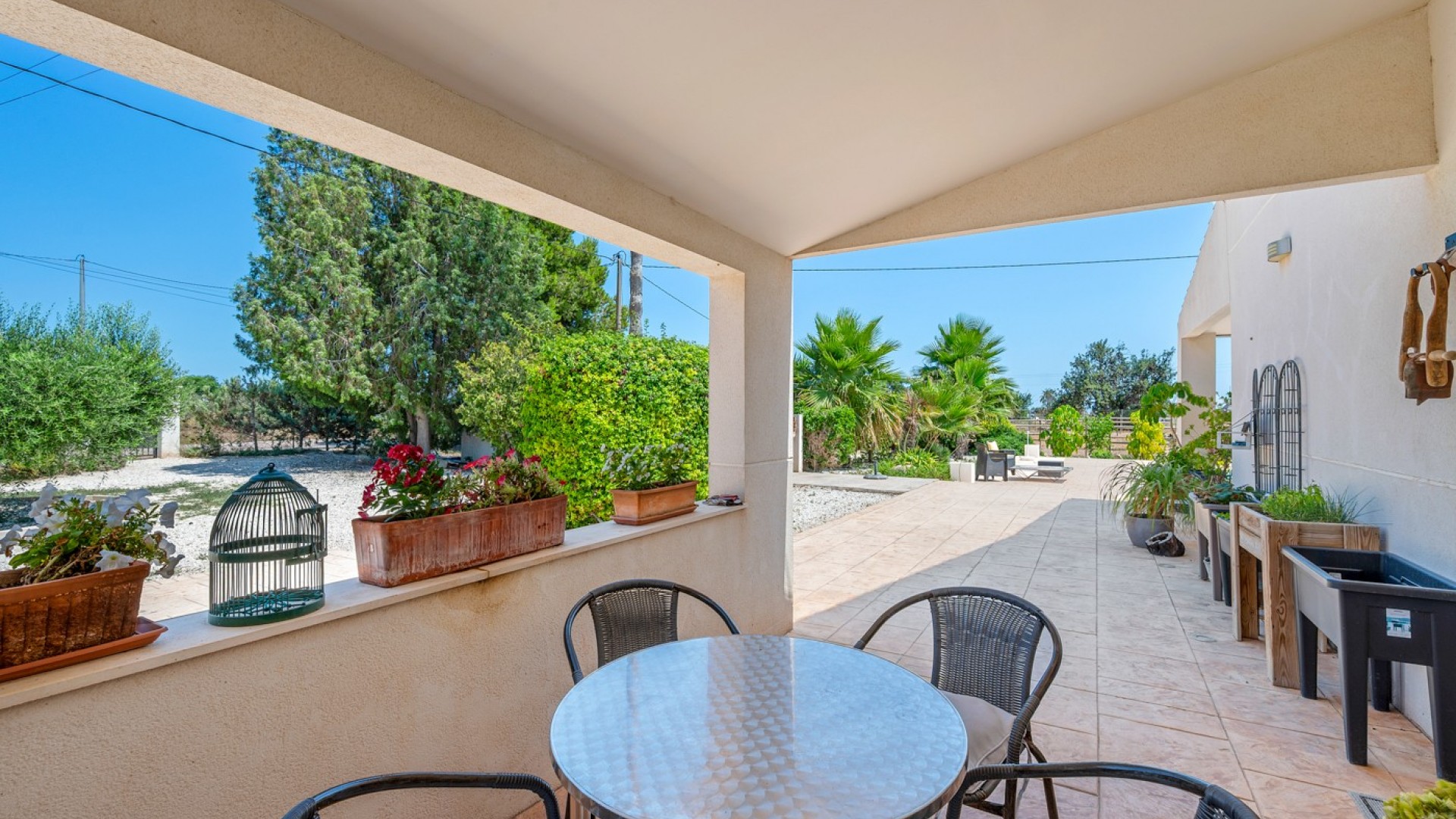 Resale - Finca Landgut -
Elche - Elche/Elx