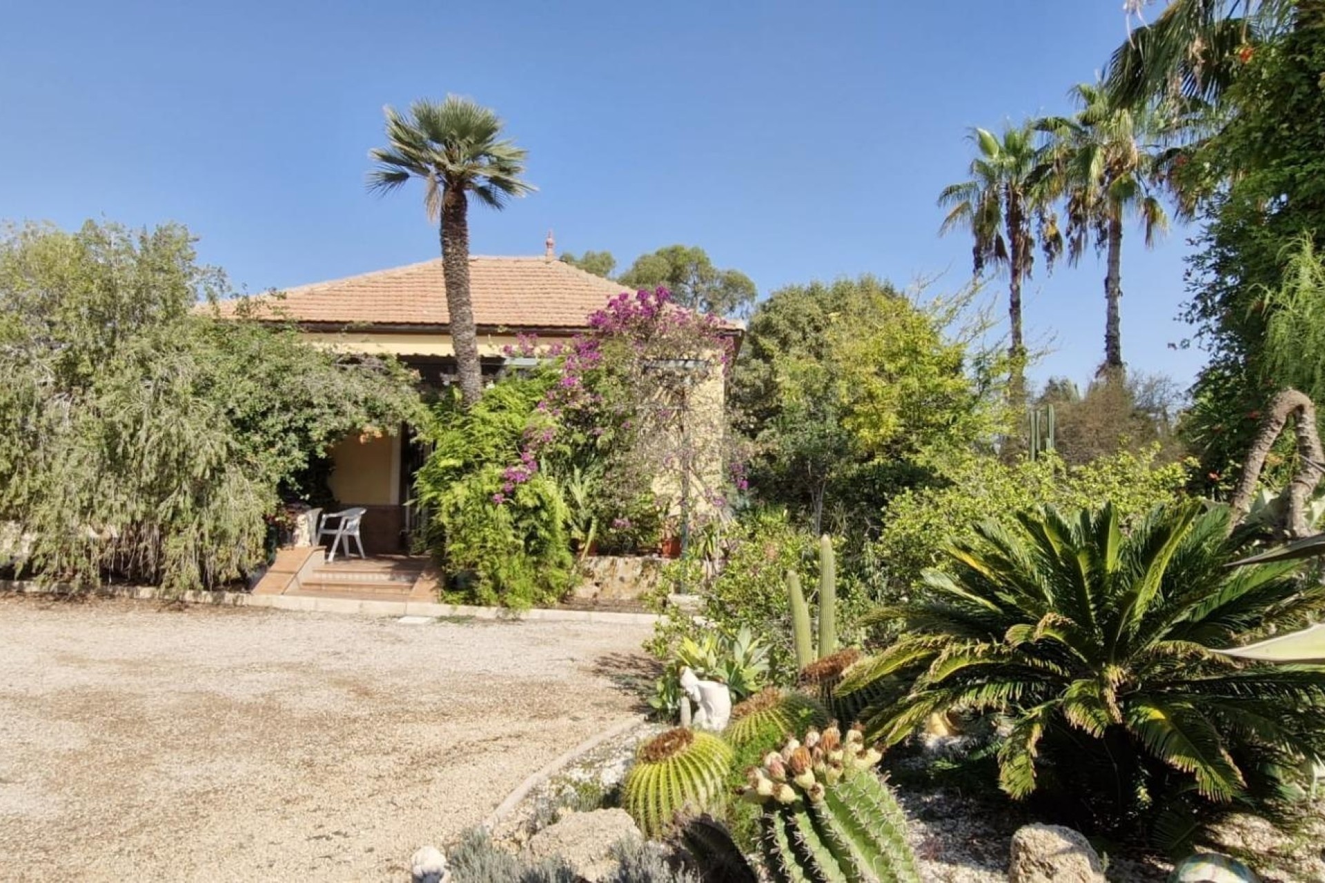 Resale - Finca Landgut -
Elche