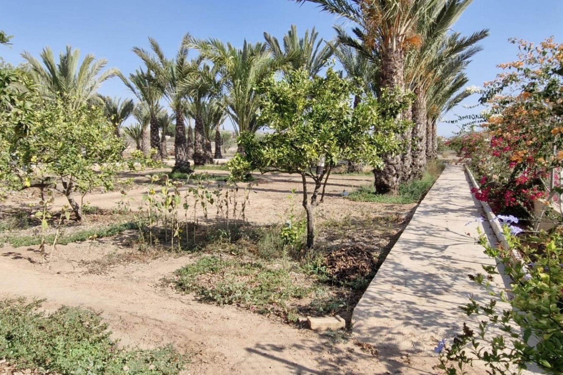 Resale - Finca Landgut -
Elche