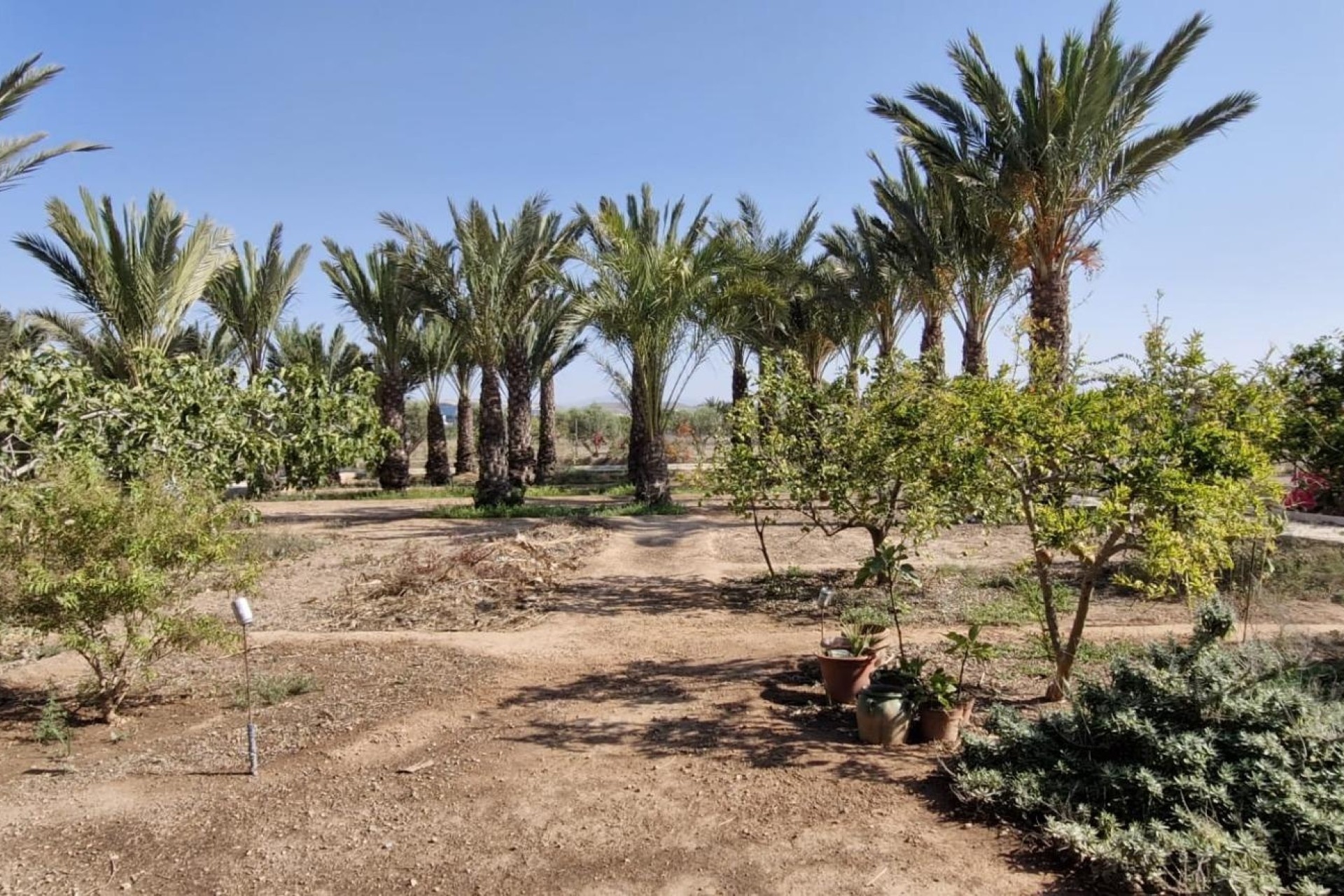 Resale - Finca Landgut -
Elche