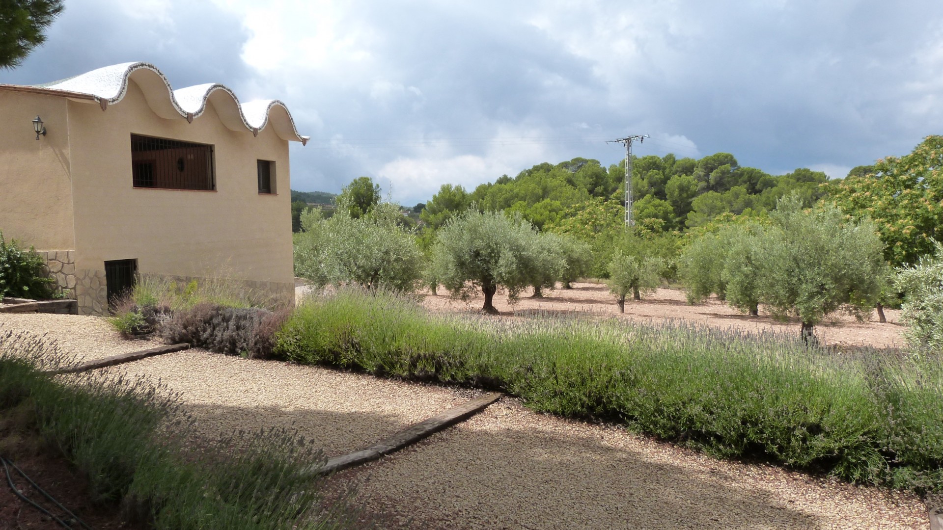 Resale - Finca Landgut -
Ibi - Ibi - Country