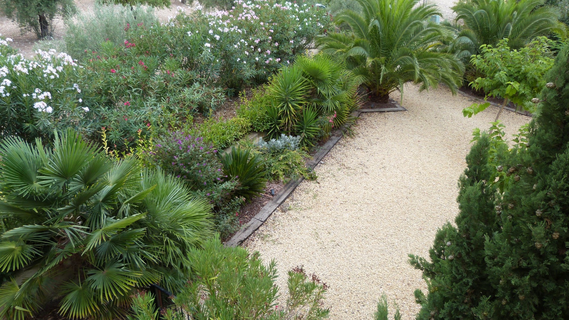 Resale - Finca Landgut -
Ibi - Ibi - Country