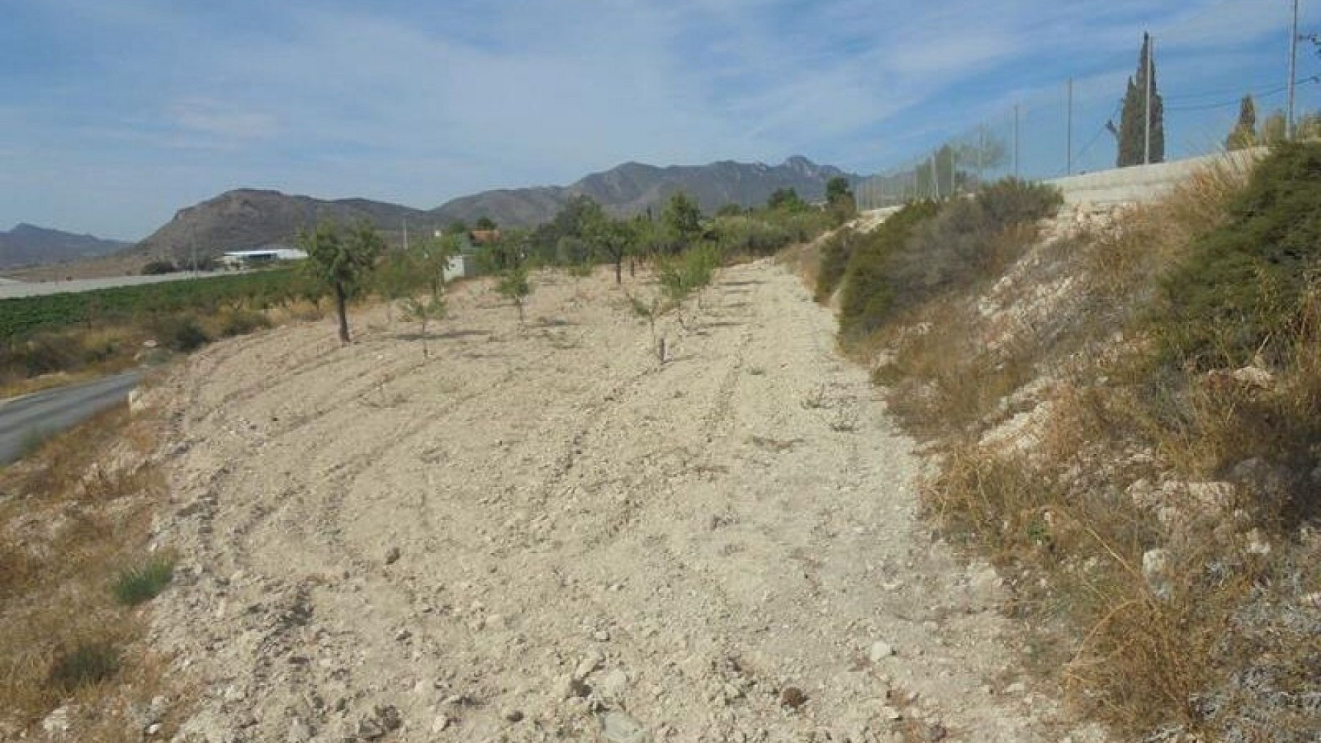 Resale - Finca Landgut -
La Romana