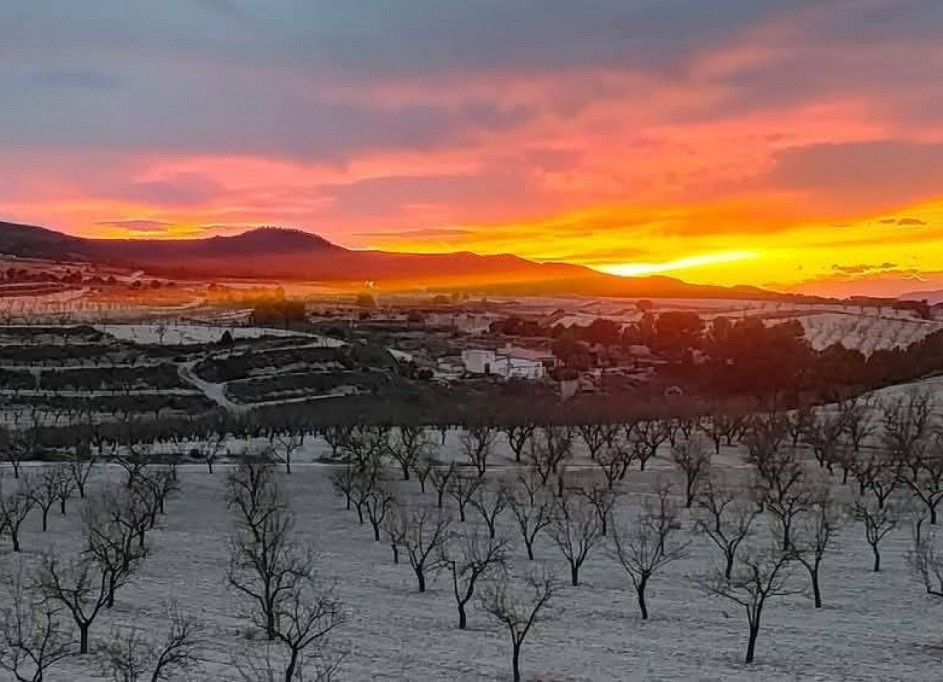 Resale - Finca Landgut -
La Zarza