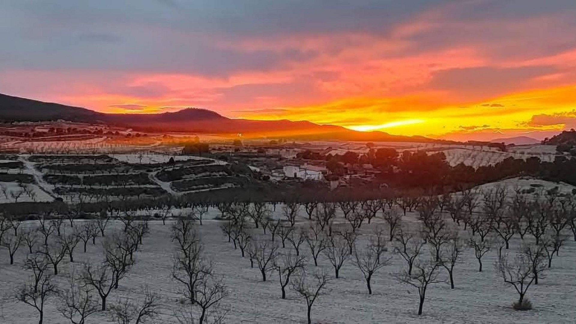 Resale - Finca Landgut -
La Zarza