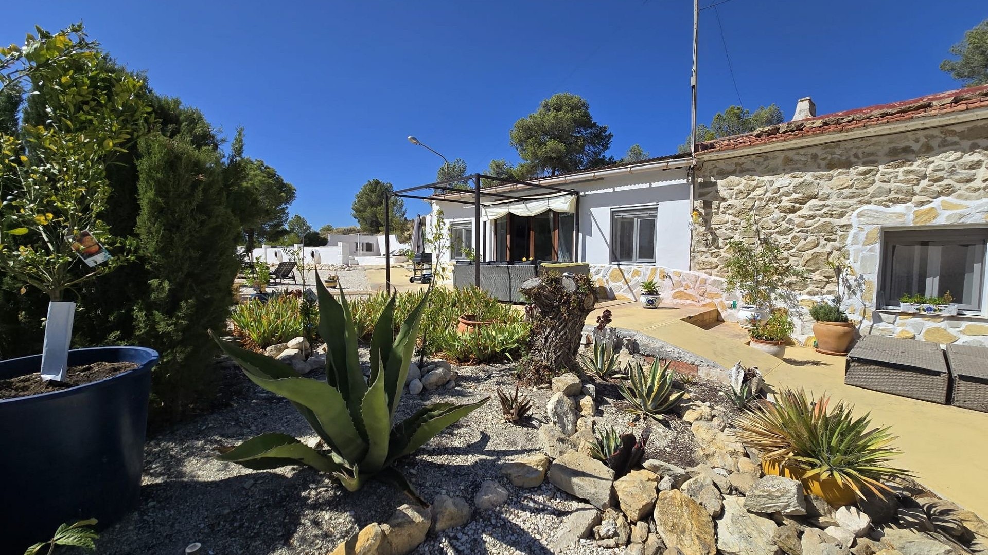 Resale - Finca Landgut -
La Zarza