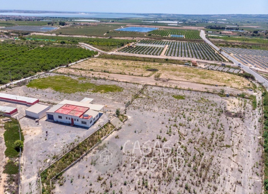 Resale - Finca Landgut -
Los Montesinos - LOS MONTESINOS