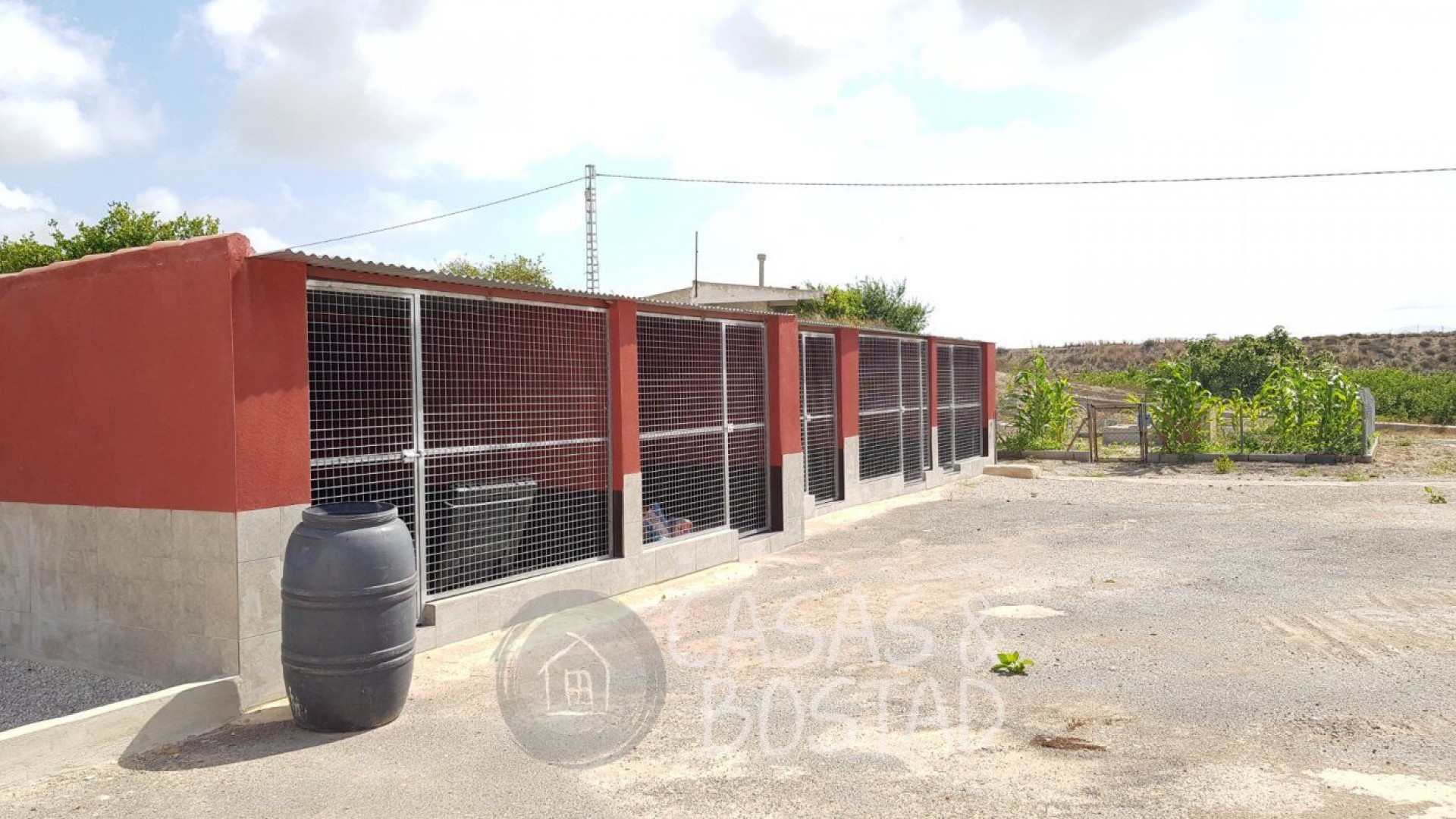 Resale - Finca Landgut -
Los Montesinos - LOS MONTESINOS