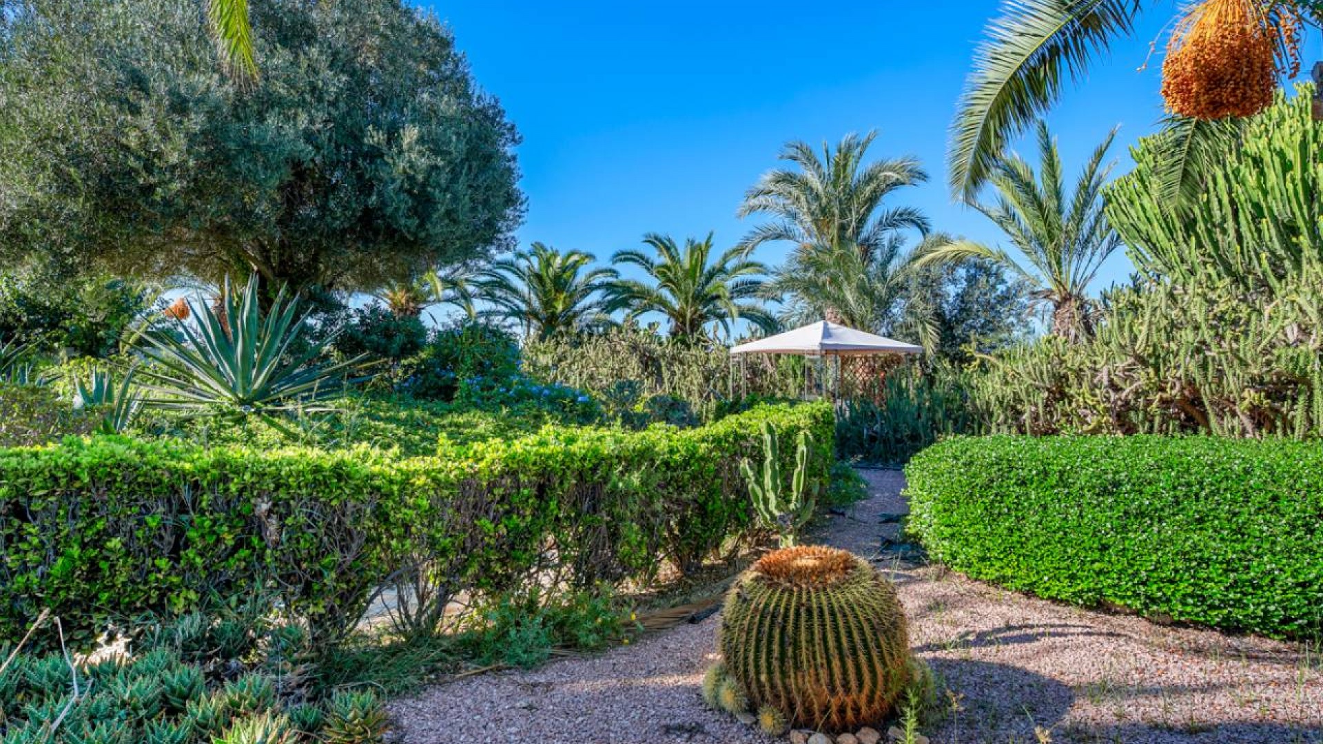 Resale - Finca Landgut -
Los Montesinos