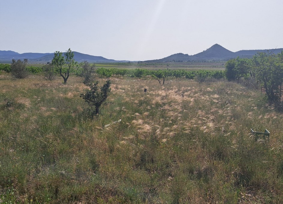 Resale - Finca Landgut -
Monóvar