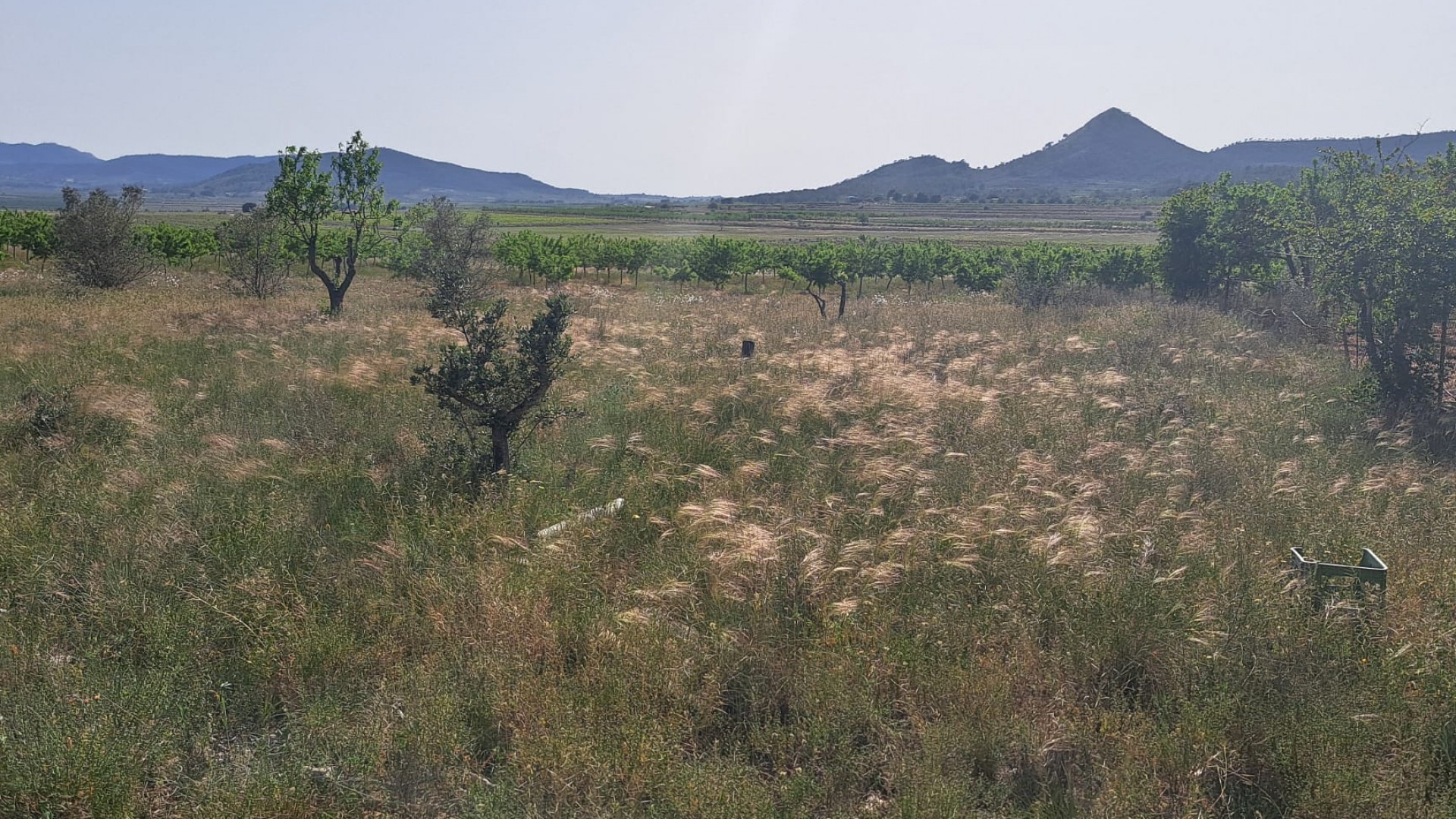 Resale - Finca Landgut -
Monóvar