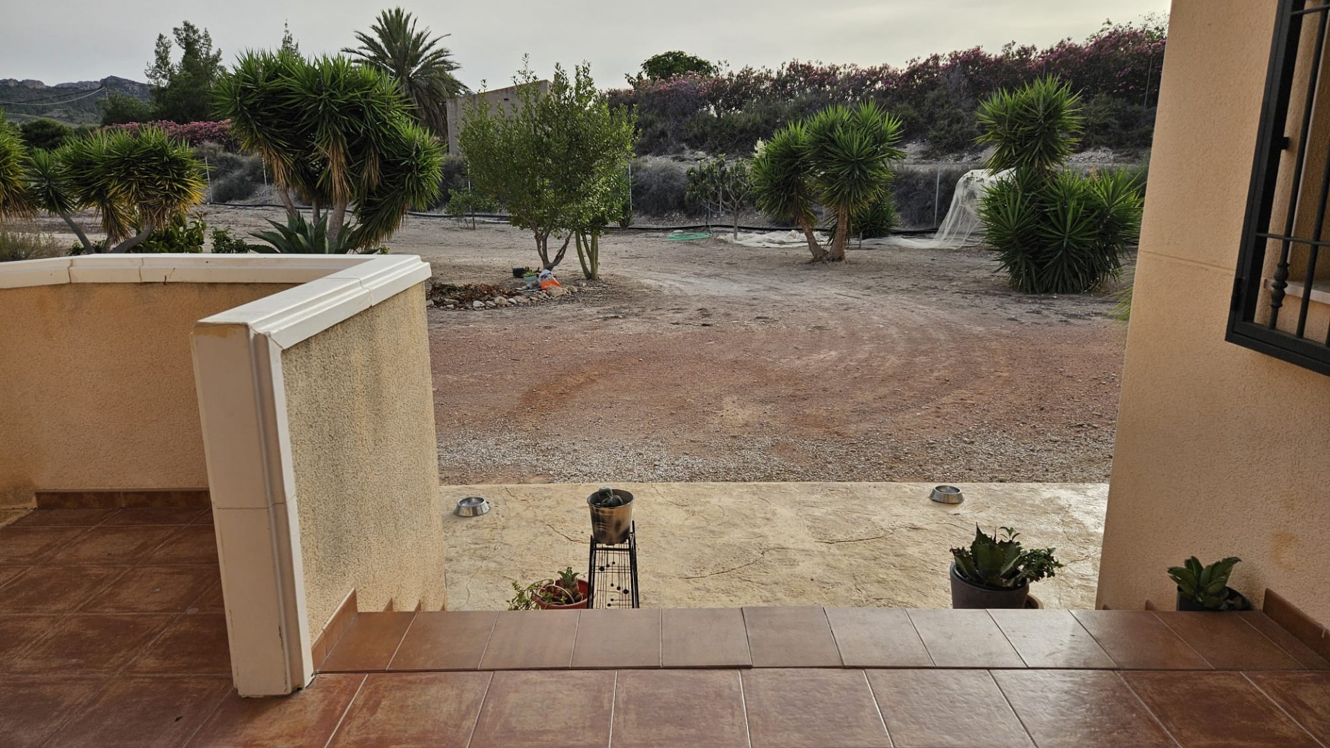 Resale - Finca Landgut -
Novelda