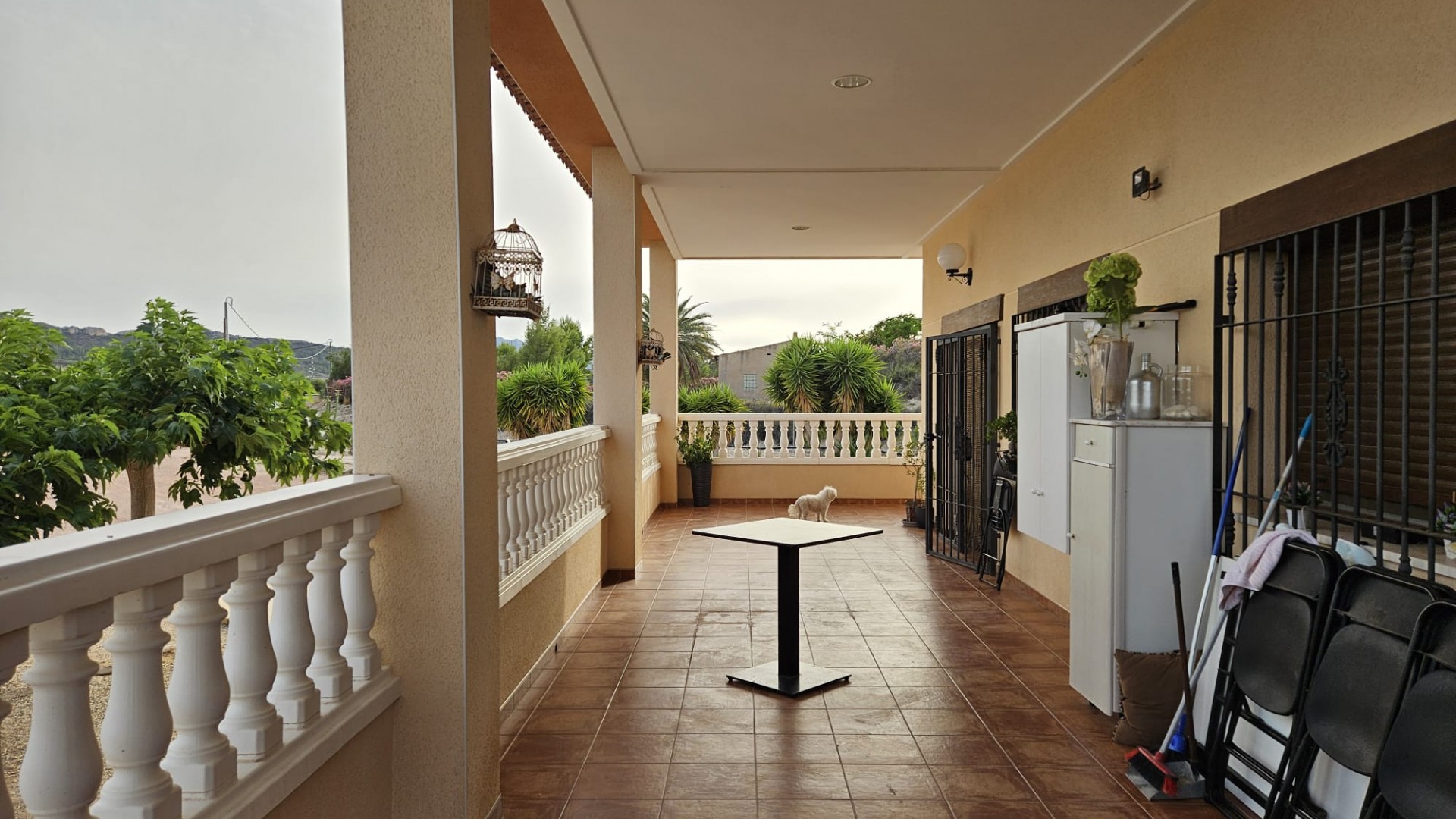 Resale - Finca Landgut -
Novelda