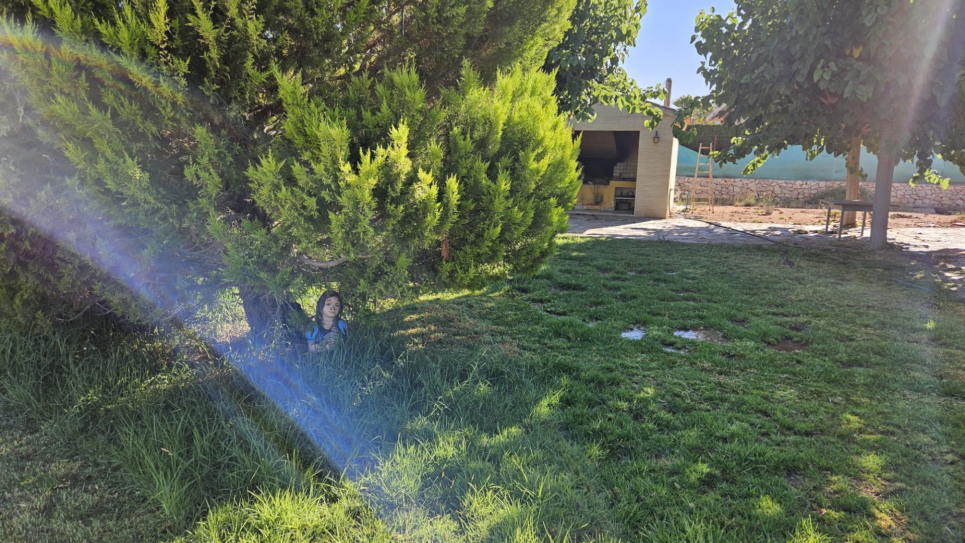 Resale - Finca Landgut -
Novelda