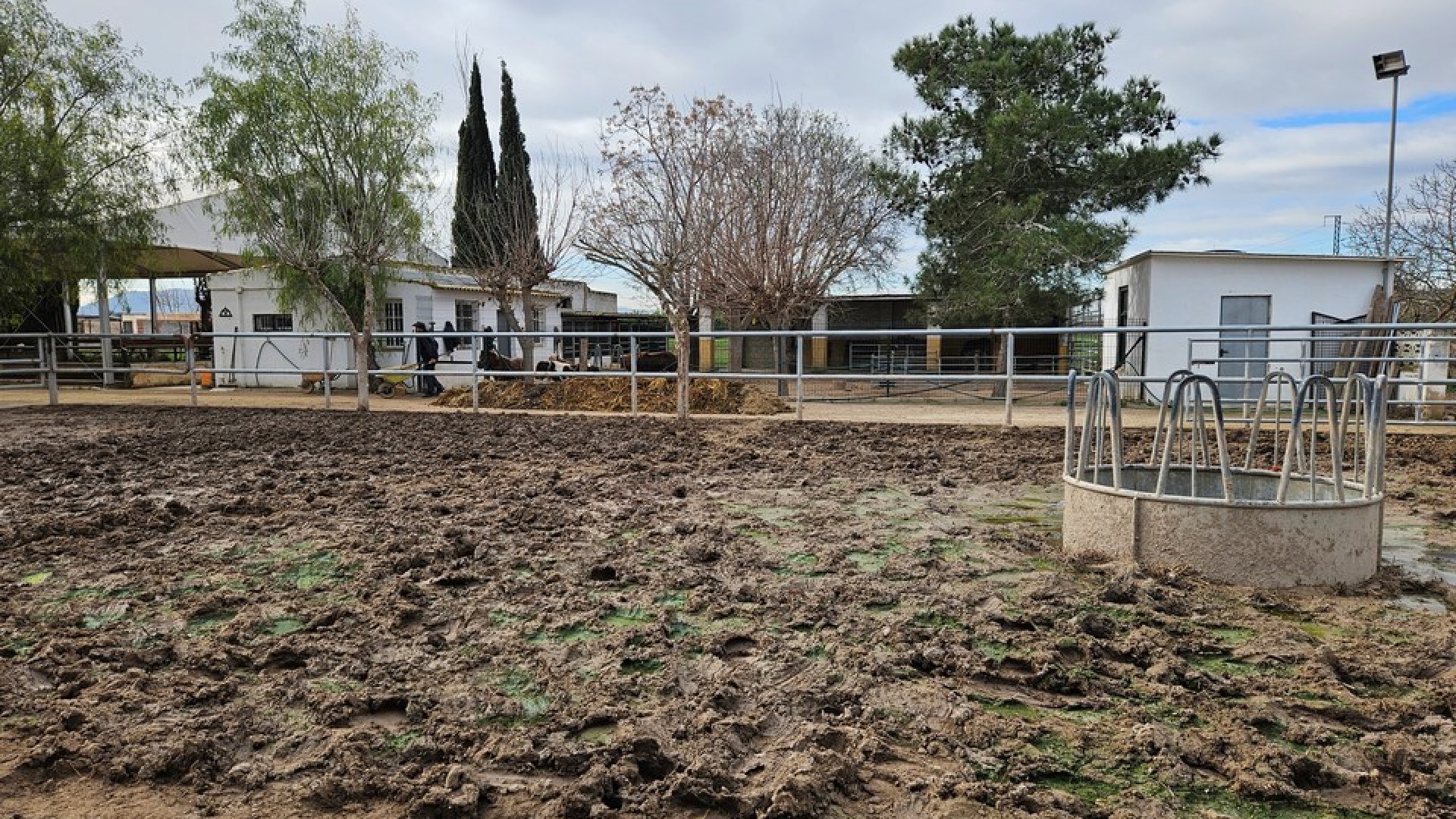 Resale - Finca Landgut -
Orihuela