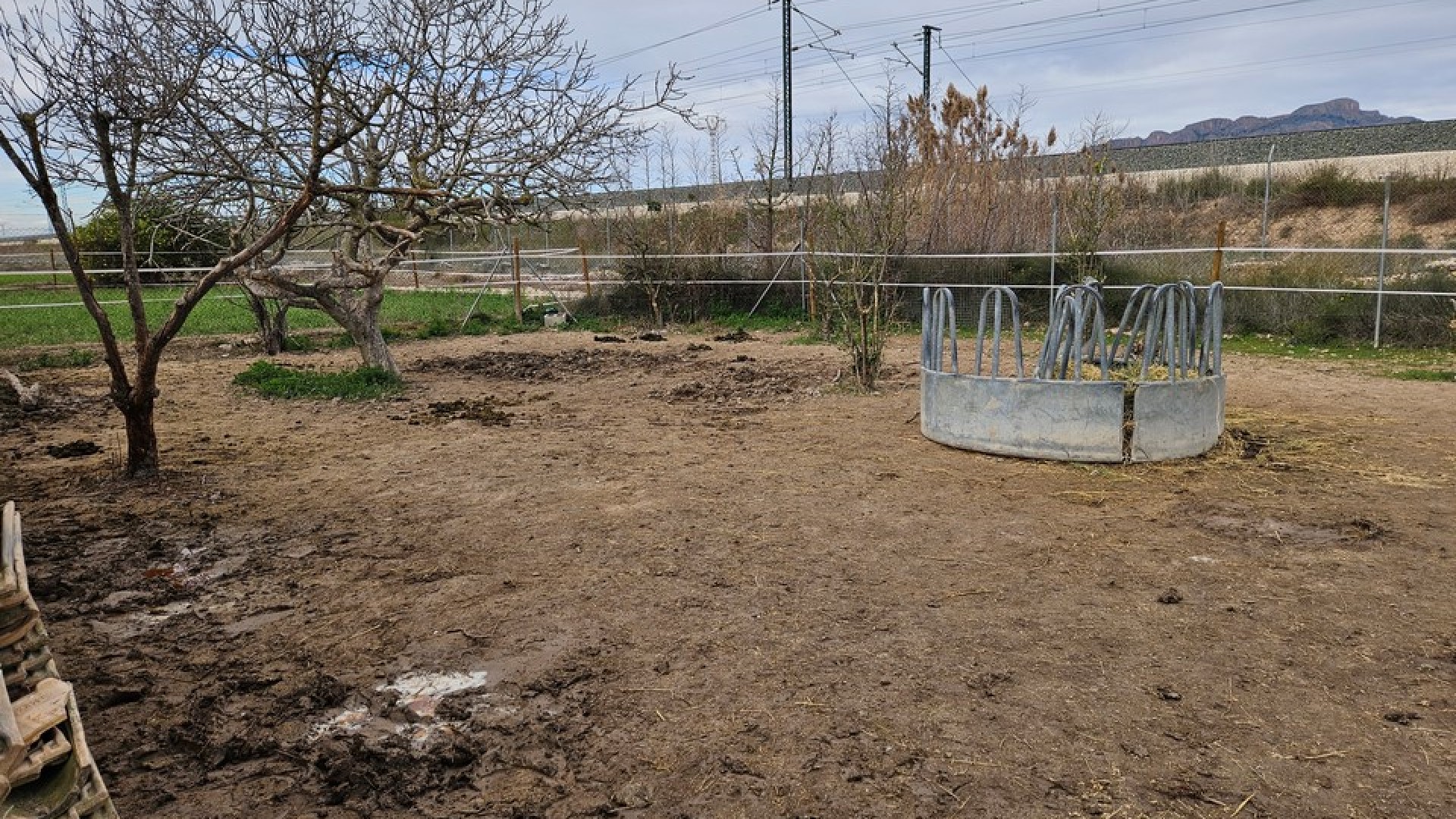 Resale - Finca Landgut -
Orihuela