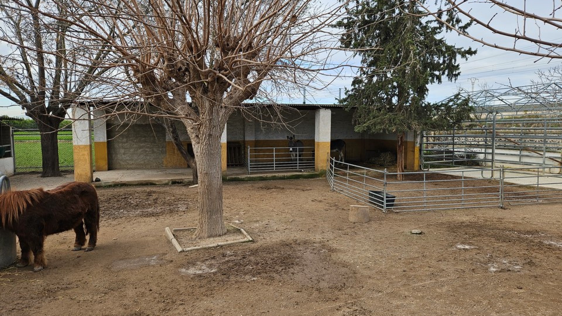 Resale - Finca Landgut -
Orihuela