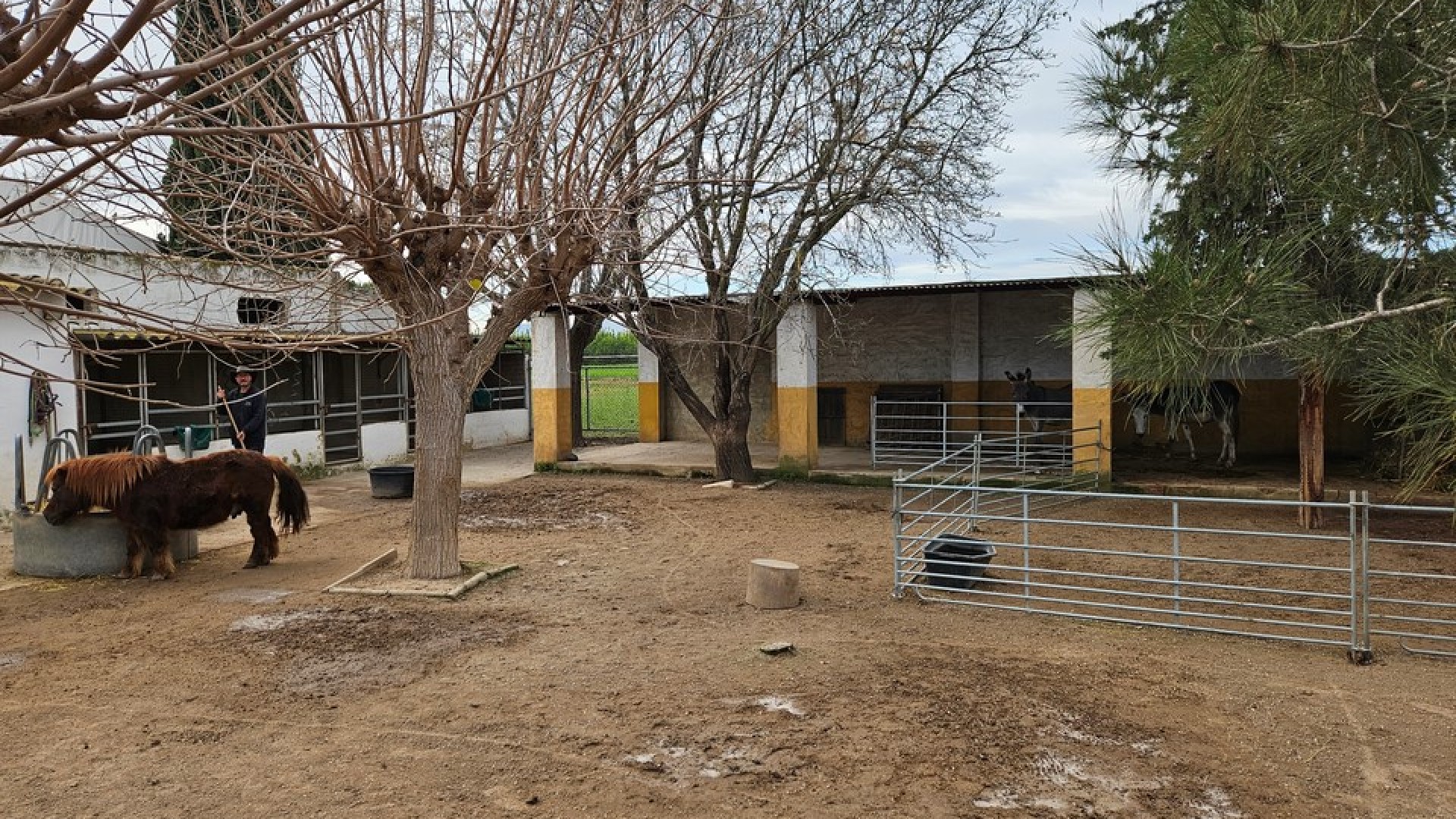 Resale - Finca Landgut -
Orihuela