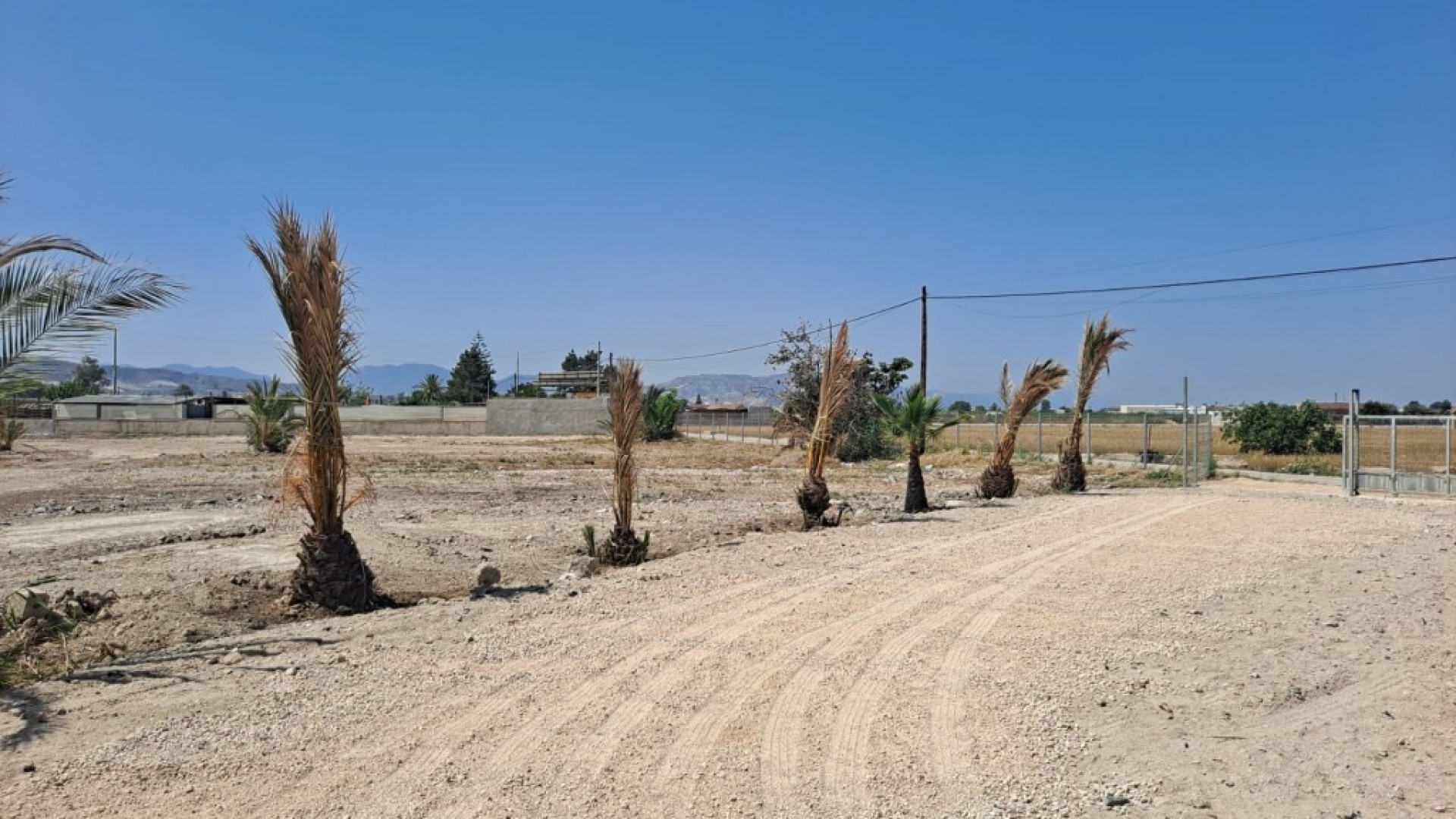 Resale - Finca Landgut -
Orihuela