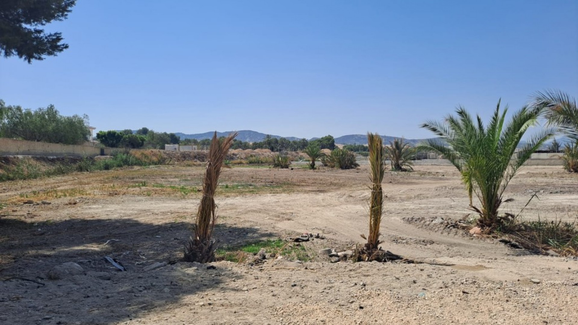 Resale - Finca Landgut -
Orihuela