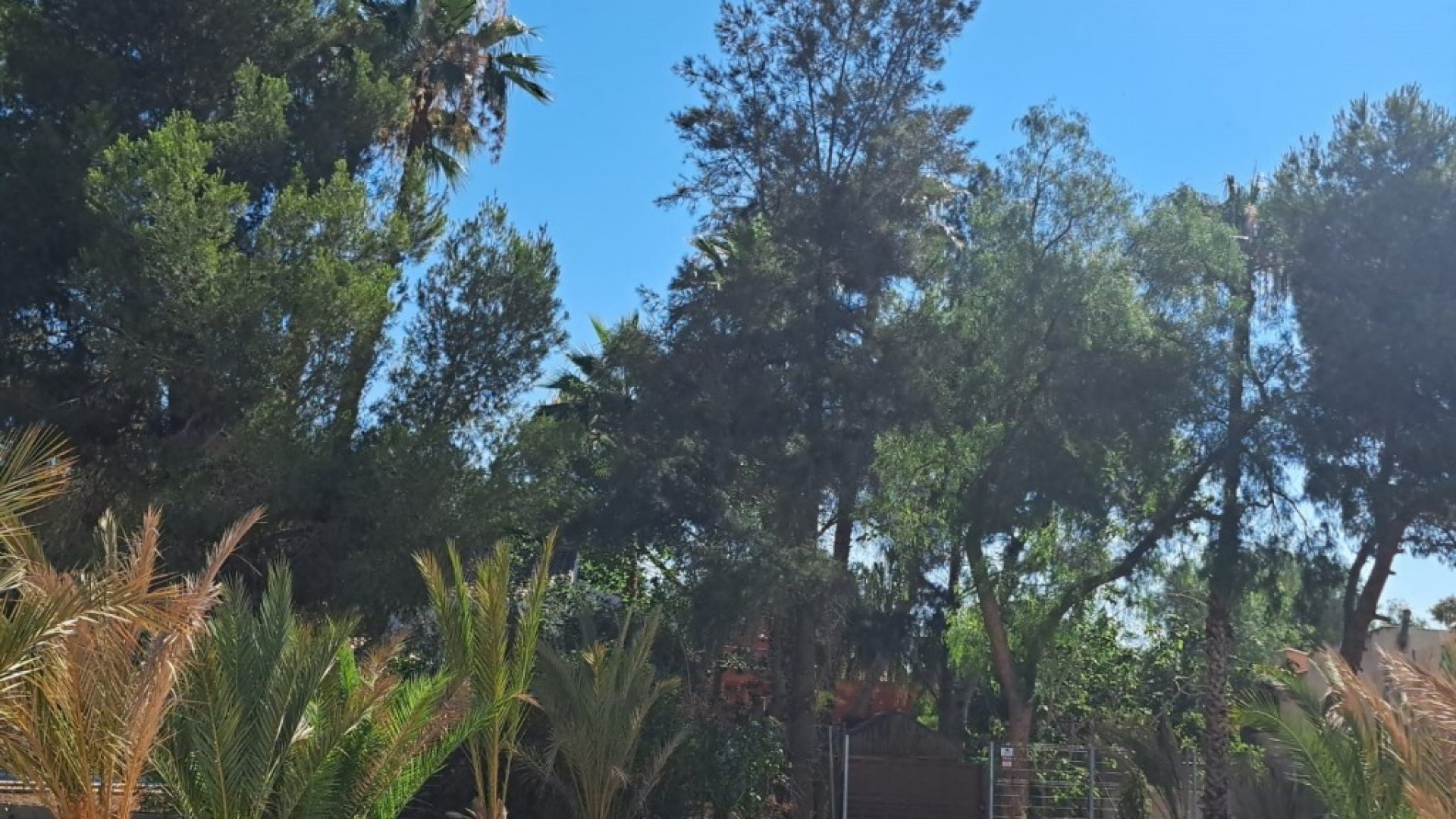 Resale - Finca Landgut -
Orihuela