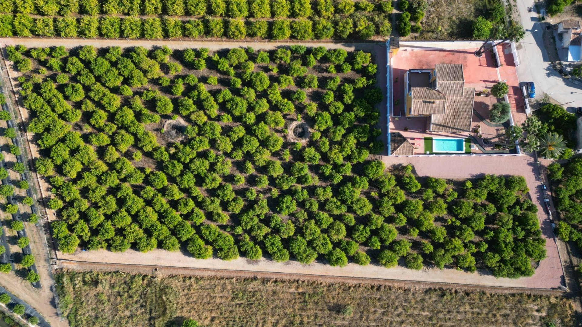 Resale - Finca Landgut -
Orihuela