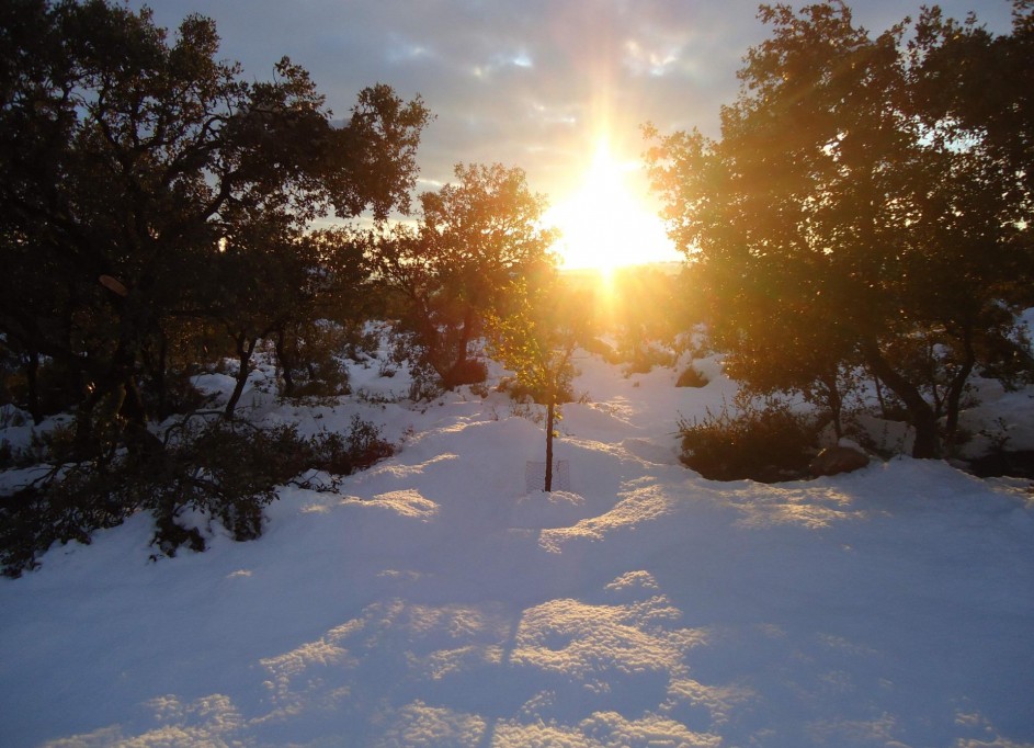 Resale - Finca Landgut -
Ossa de Montiel - Lagunas de ruidera